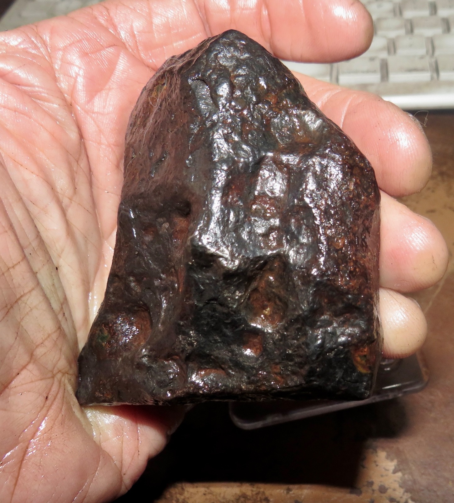 648 gm . CANYON DIABLO IRON METEORITE  TOP GRADE ARIZONA 1.4 LBS