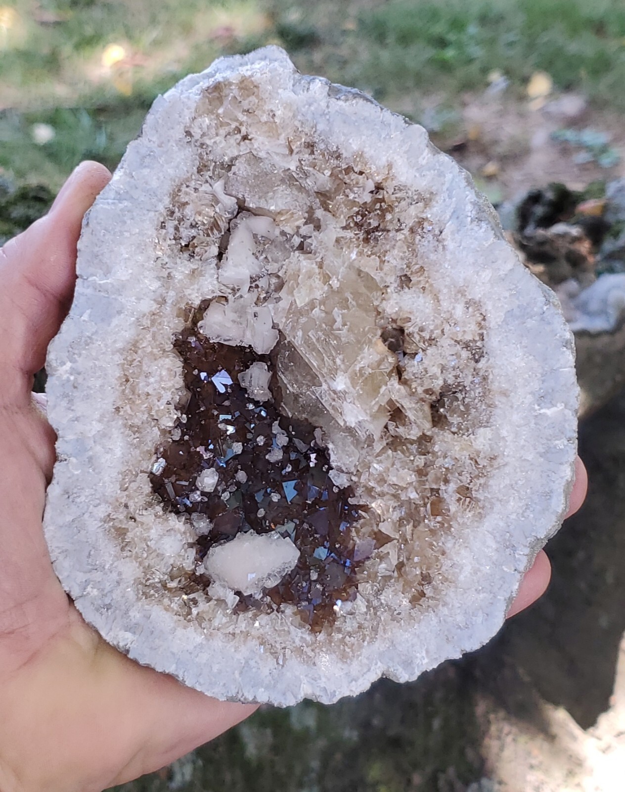 Large Brown Calcite Geode With Other Calcite Crystal Habits, Forms And Clusters 