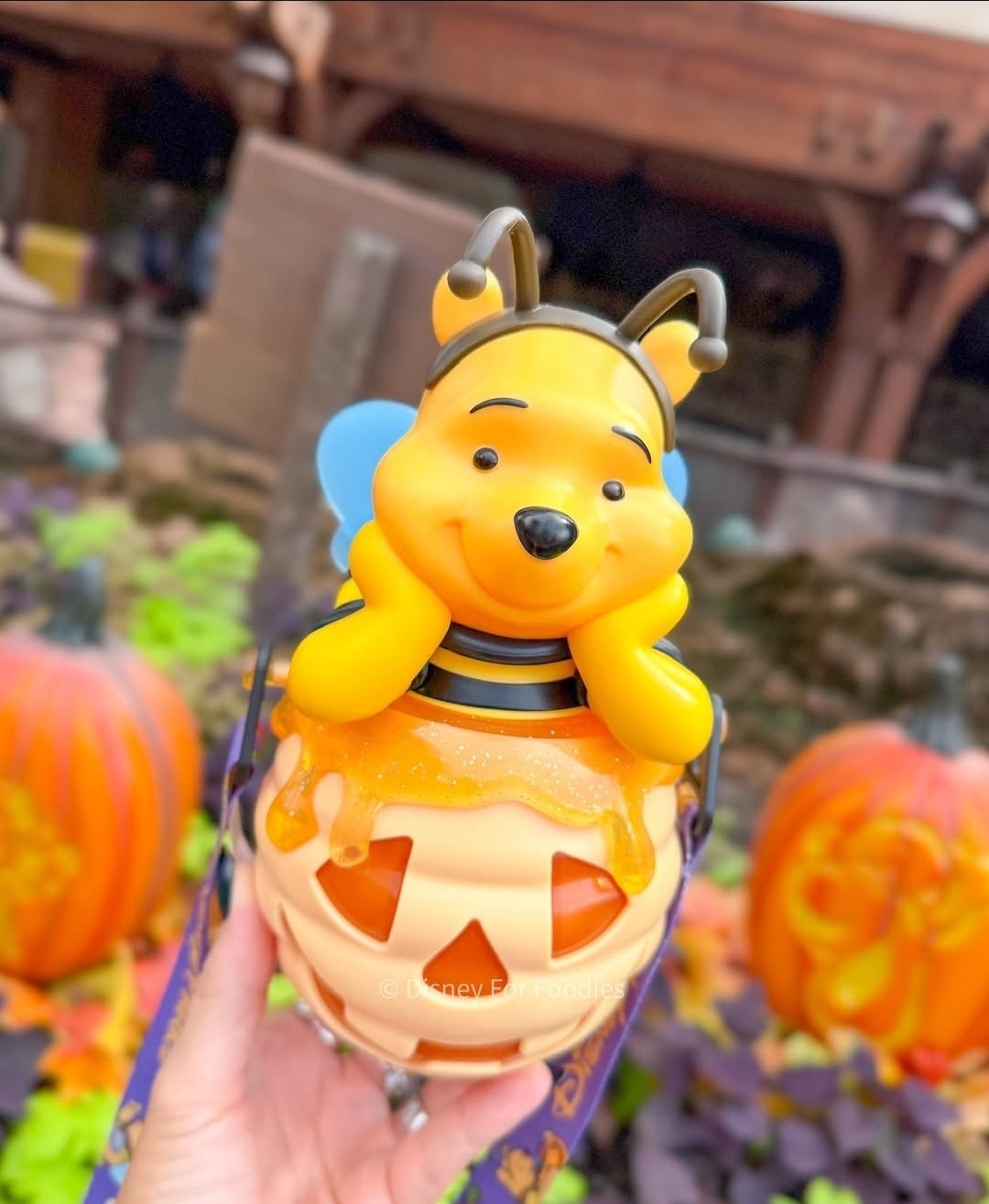 2026 Halloween Winnie the Pooh Hunny Bee Light-Up Sipper- Authentic Disney Parks