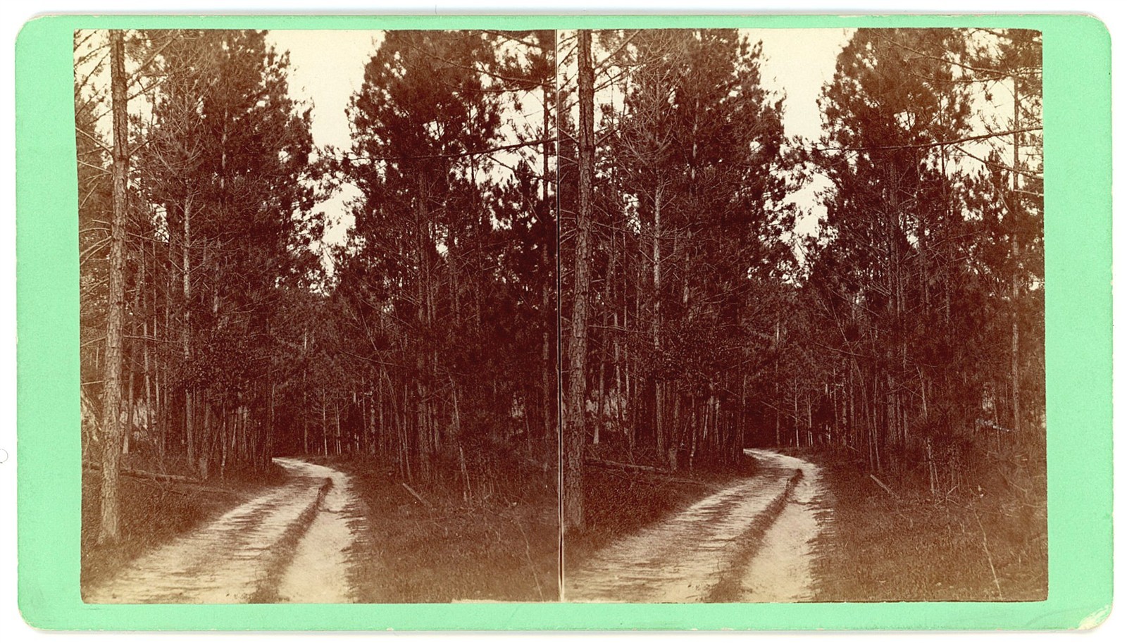 SOUTH CAROLINA STEREOVIEW - Aiken - Road to Bartons - JA Palmer 1880s