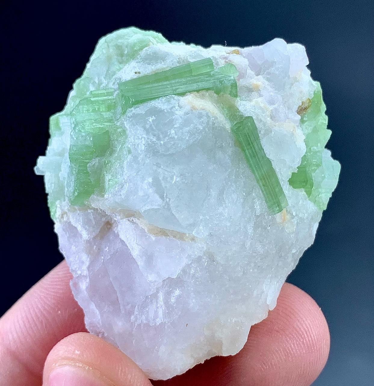 270 Carat Tourmaline Crystal With Quartz Specimen From Afghanistan 