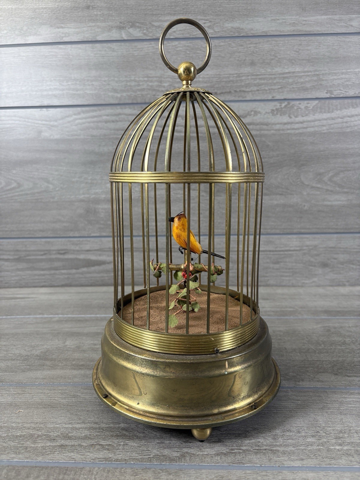 Vintage Mechanical Singing Bird Automaton Made In Germany For Repair 13\