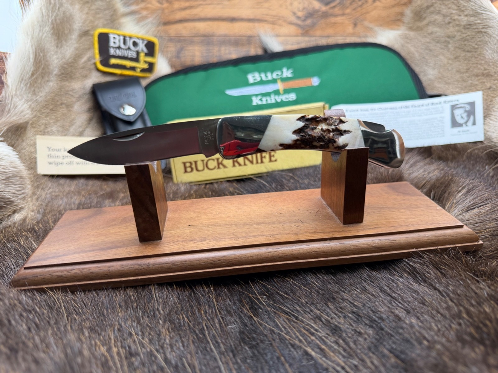 Buck 500 Knife With Stag Handle Stainless Blade & Leather Sheath Mint In Box \