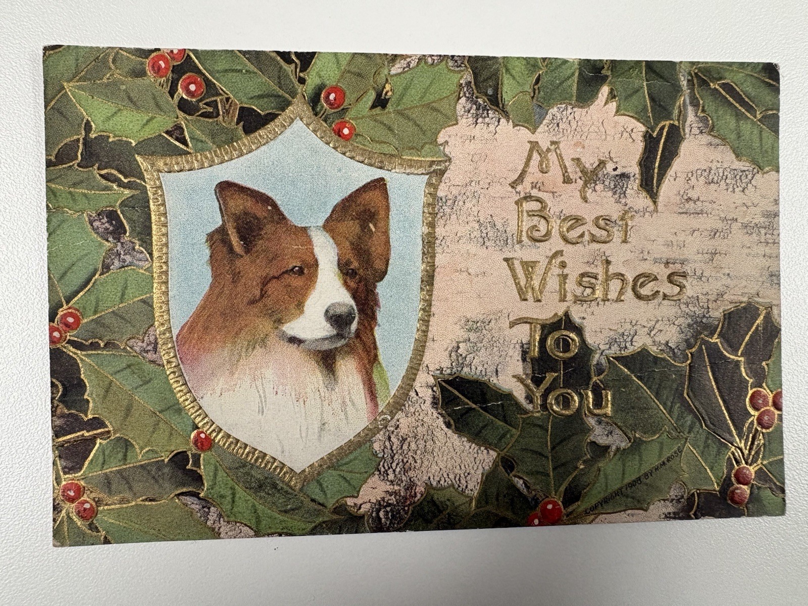 Antique 1908 Dog Postcard M M Rose Holly Embossed Best Wishes Unused