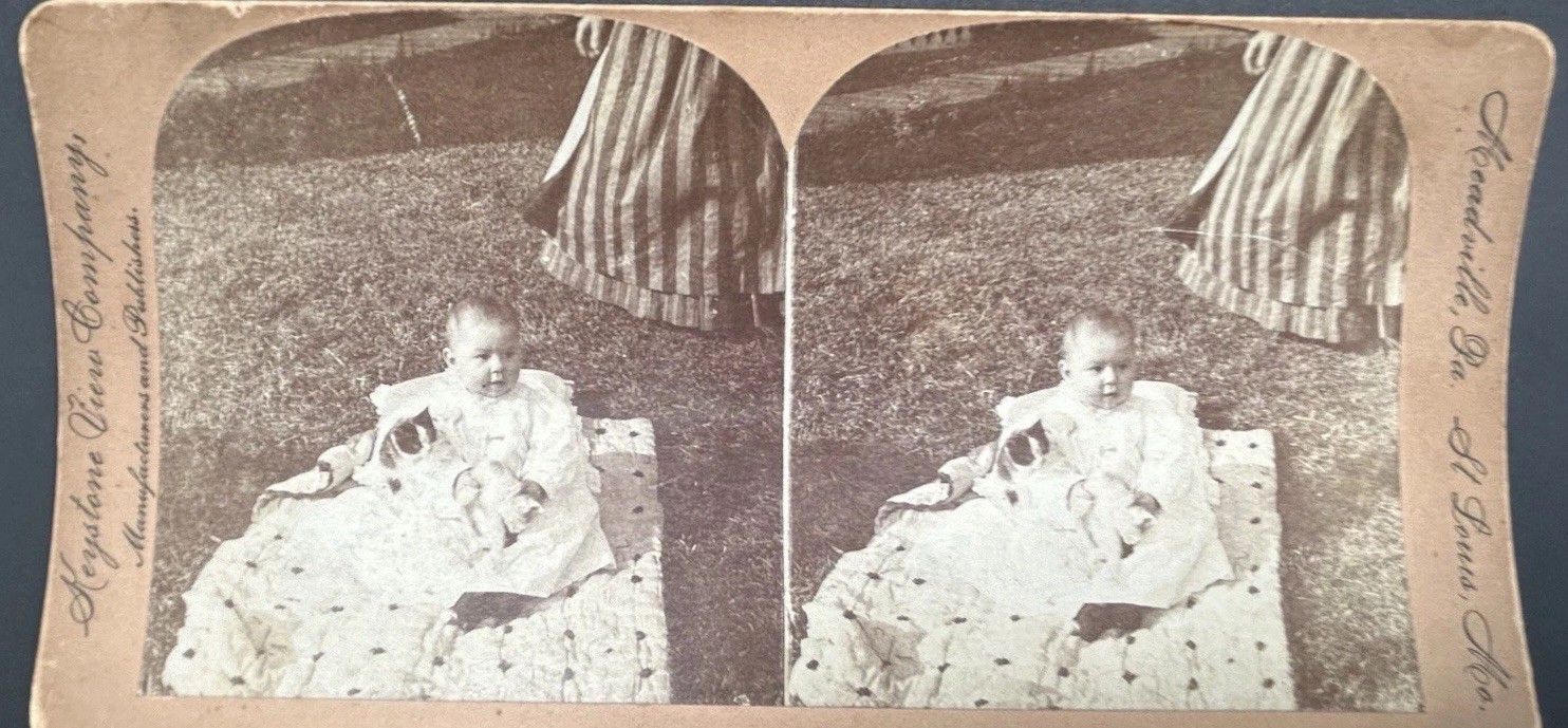 Keystone Stereoview 339 Josephine's Kitten Cat Antique Stereo View Card Keystone Stereoview 339 Josephine's Kitten Cat Antique Stereo View Card