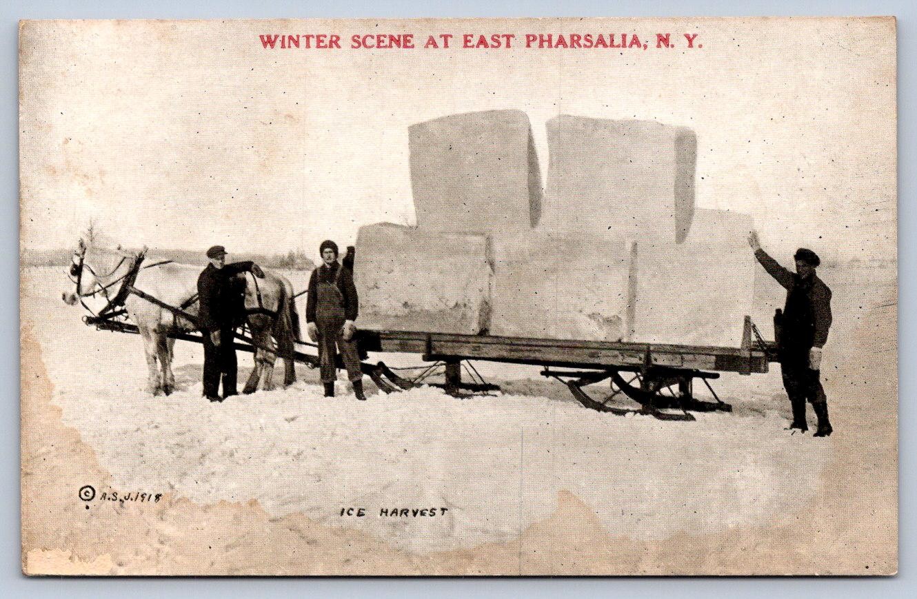K65/ East Pharsalia New York Postcard c1910 Ice Harvest Occupational Sleigh 315