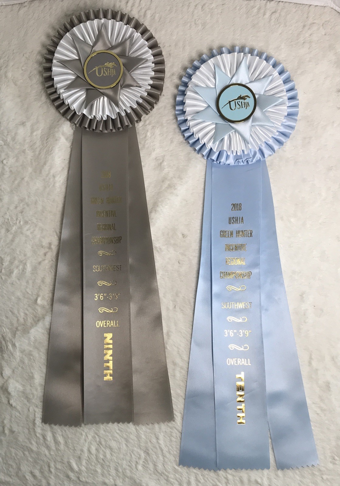 Lot 2: Big Beautiful Rosette Horse Show Ribbons USHJA 2018 Championship Streamer