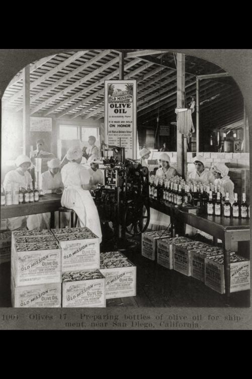 San Diego California 1923 Women Packing Old Mission Olive Oil Bottles