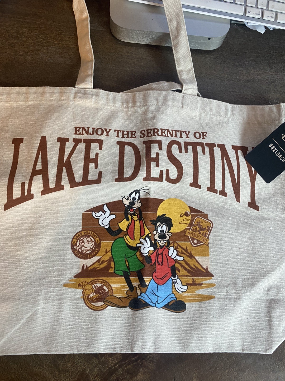 BOXLUNCH X DISNEY A GOOFY MOVIE LAKE DESTINY TOTE BAG NEW