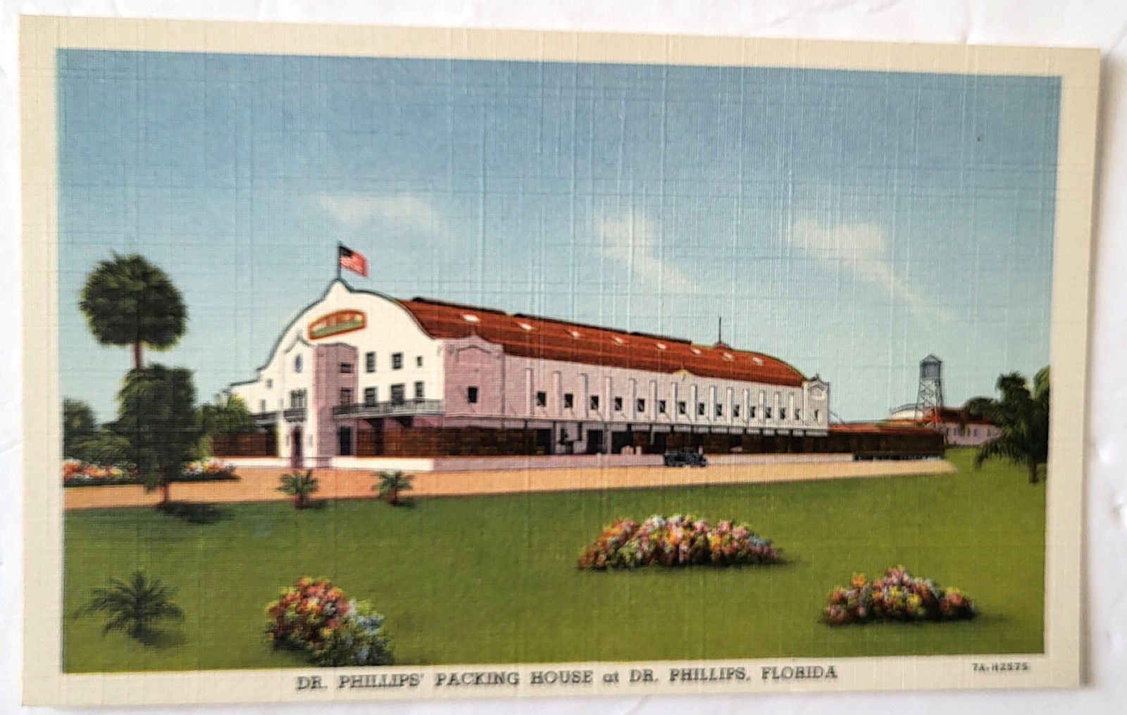 VTG 1937 ORLANDO FL PC DR PHILLIPS' CITRUS PACKING HOUSE Teich Archives MINT