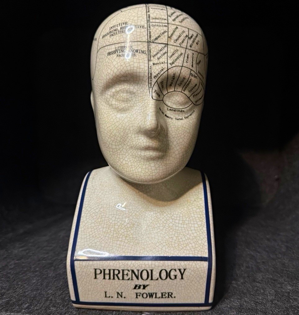 L.N. Fowler London Phrenology Head Bust Ceramic Figurine | Vintage L.N. Fowler London Phrenology Head Bust Ceramic Figurine | Vintage