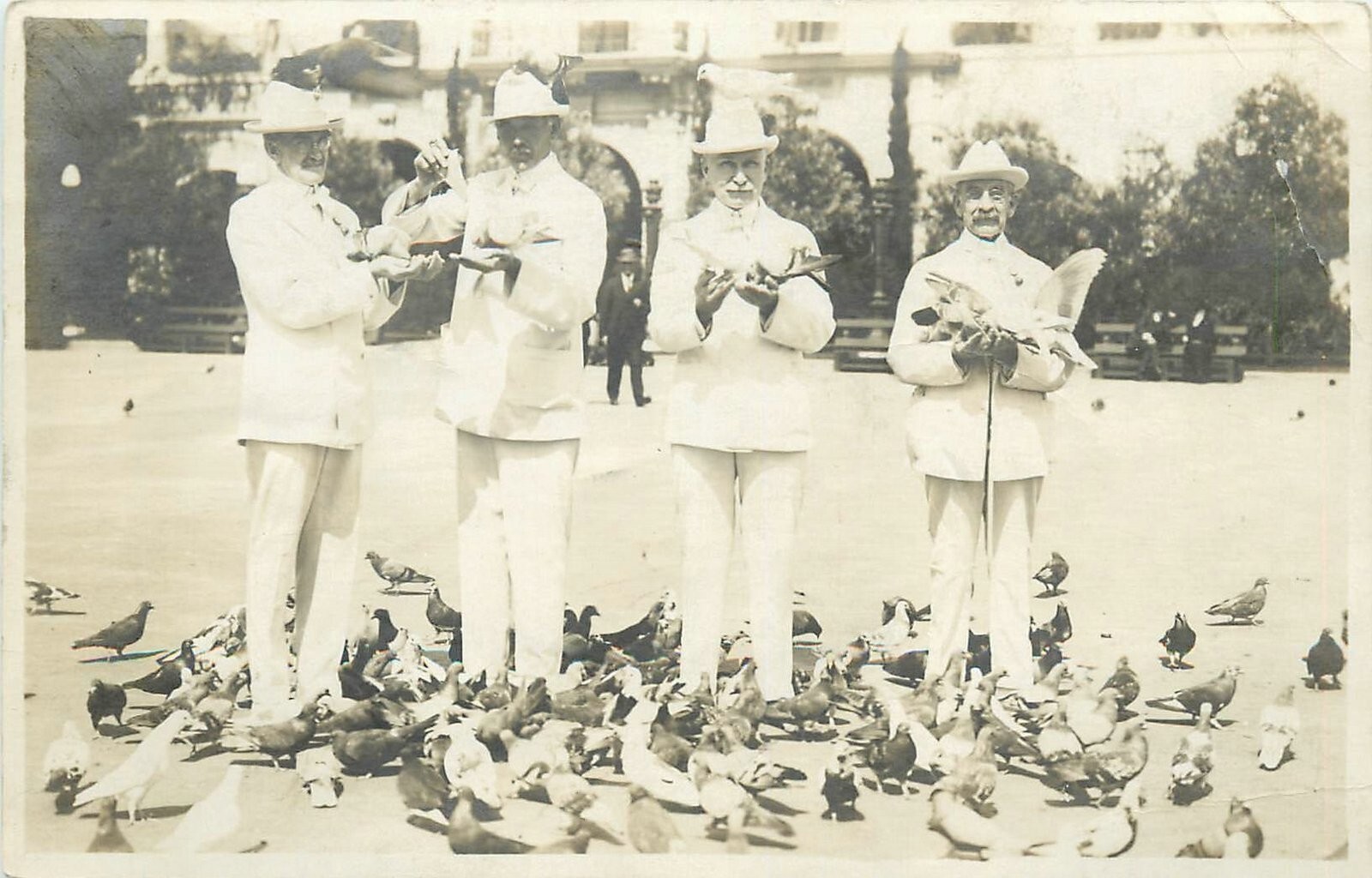 San Diego California C-1915 Panama Expo men pigeons Postcard RPPC 24-8895