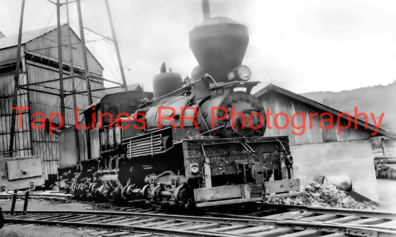 Meadow River Lumber Co. #7 Rainelle WV 6-6-1958 Lima Shay -New 5x8 Photo