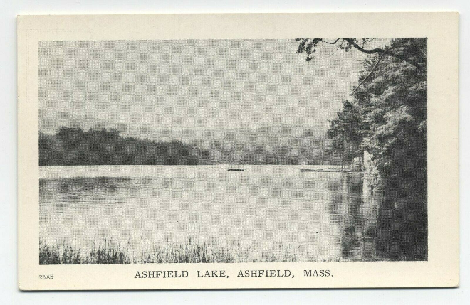 MA ~ Scene at the Lake ASHFIELD Massachusetts c1940\'s Franklin County Postcard