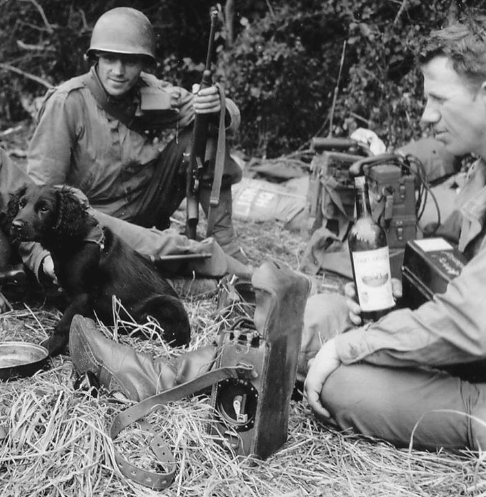 WW2 WWII Photo US Army 2nd Ranger Battalion Normandy 1944  World War Two  / 1858