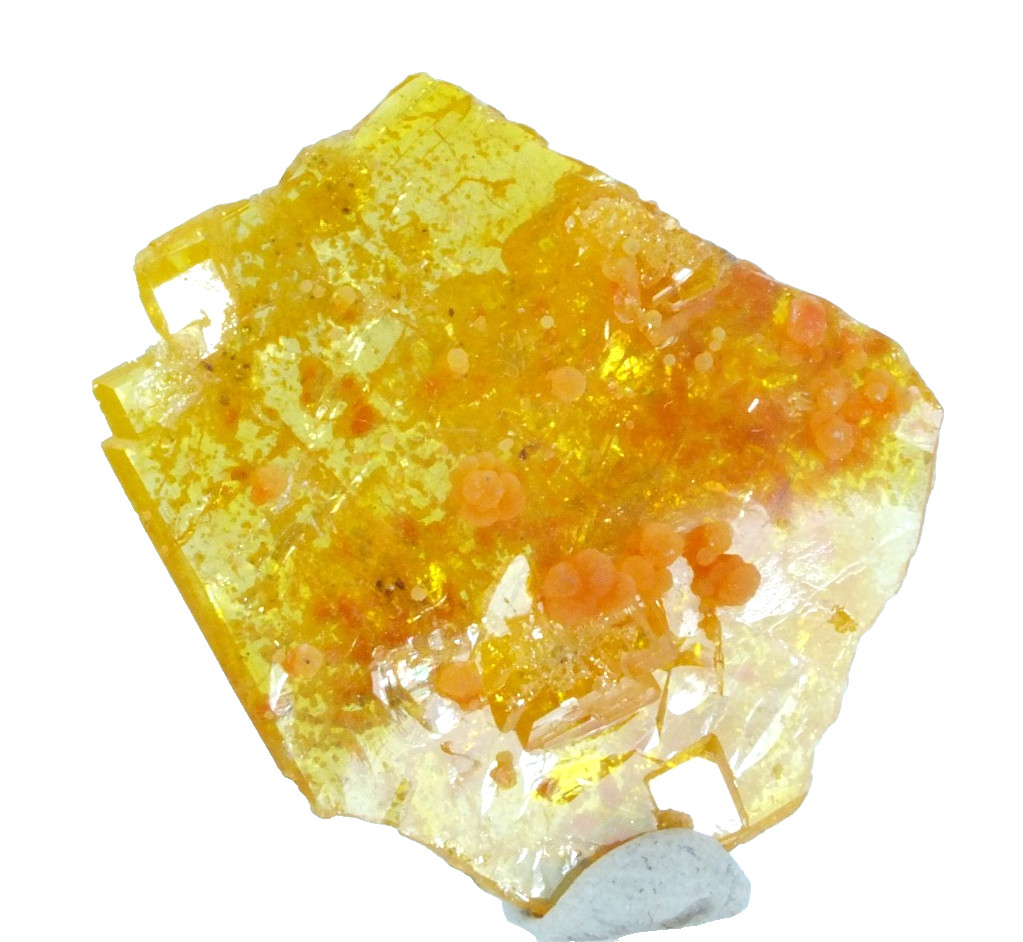 Wulfenite Crystals Group with Mimetite. Rowley Mine. Arizona USA (EA12163)