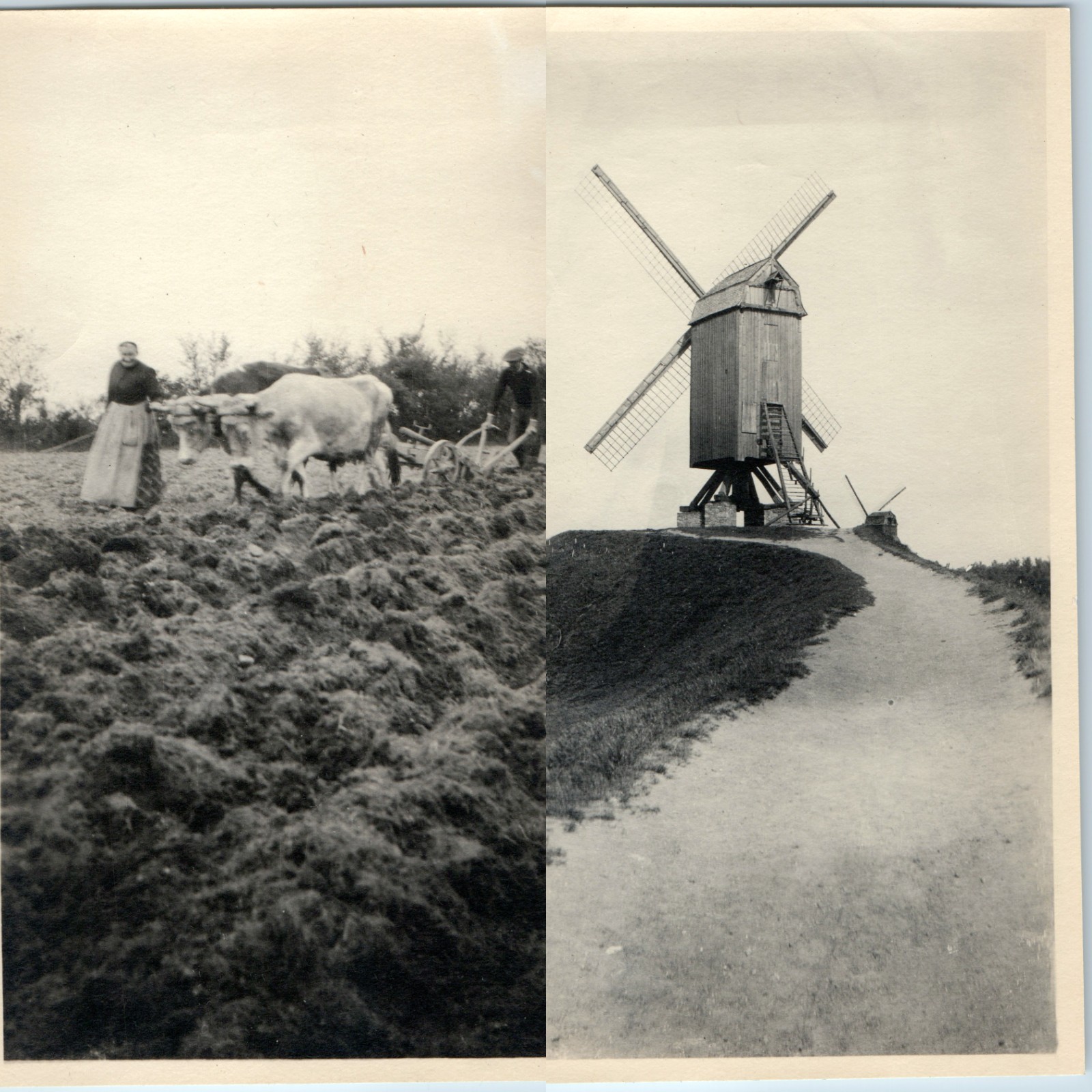 x2 LOT c1910s Savenay France Snapshot Photos Windmill Oxen Plow Farm Peasant Vtg x2 LOT c1910s Savenay France Snapshot Photos Windmill Oxen Plow Farm Peasant Vtg