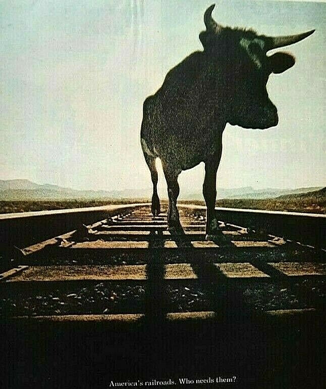 1969 America\'s Railroads Bull Vintage Print Ad Who needs them? You do.