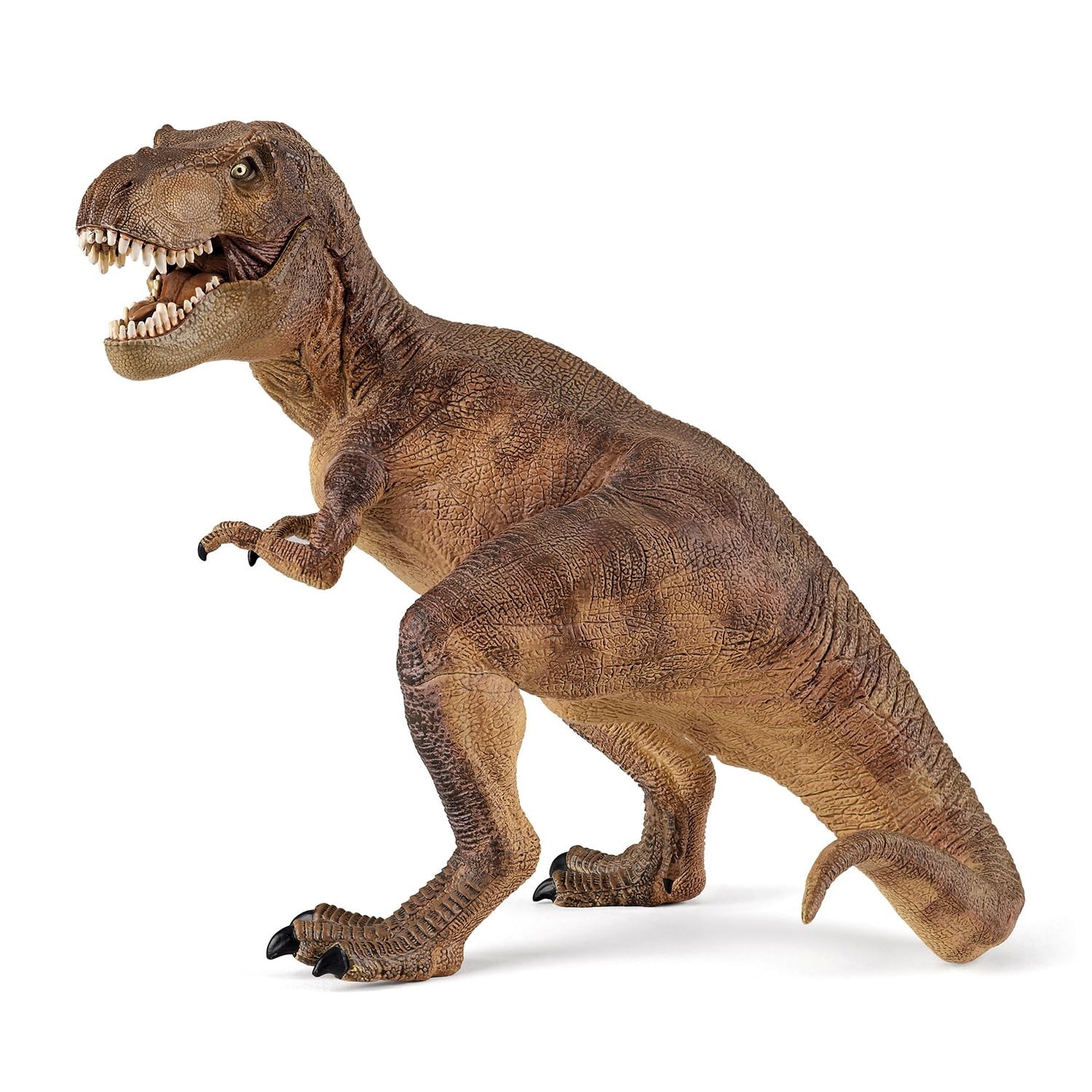 Papo The Dinosaur Figure, Tyrannosaurus, Multicolor (55001) Papo The Dinosaur Figure, Tyrannosaurus, Multicolor (55001)