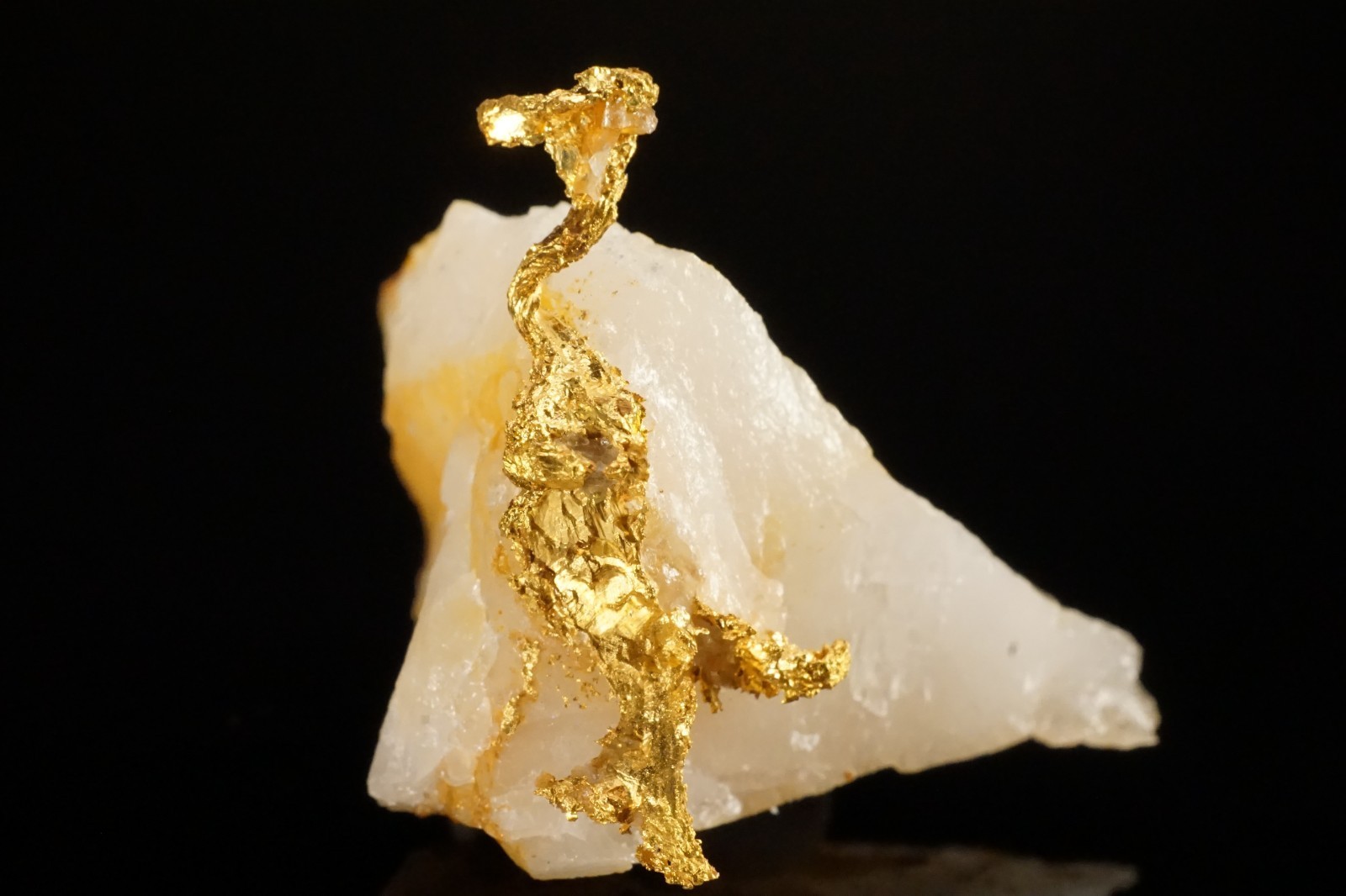 Rare Locale Native Gold Crystal on Quartz Cashman's Mine Australia