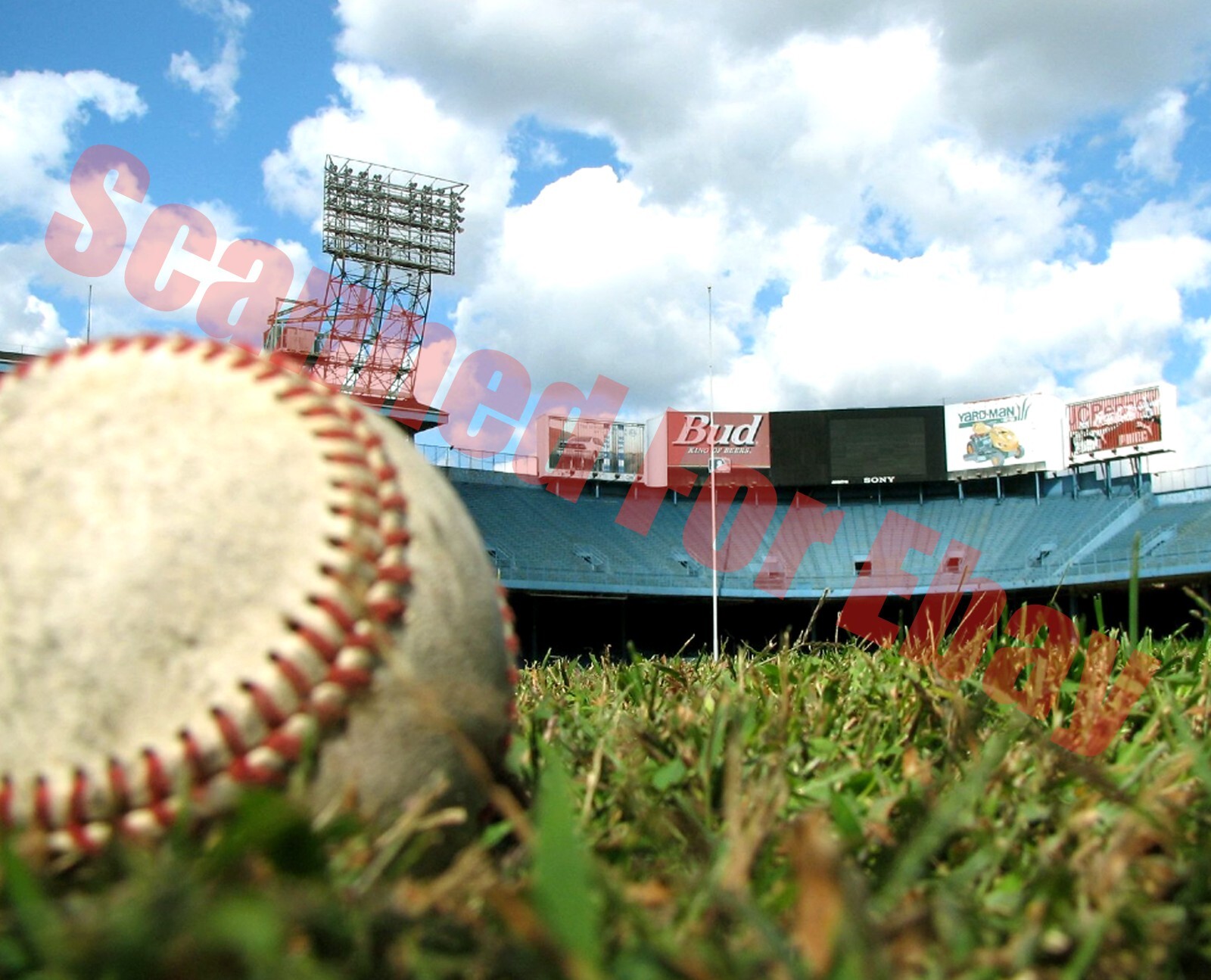 Detroit Tiger Stadium Field Baseball Ball's View 8x10 Photo + Detroit Tiger Stadium Field Baseball Ball's View 8x10 Photo +