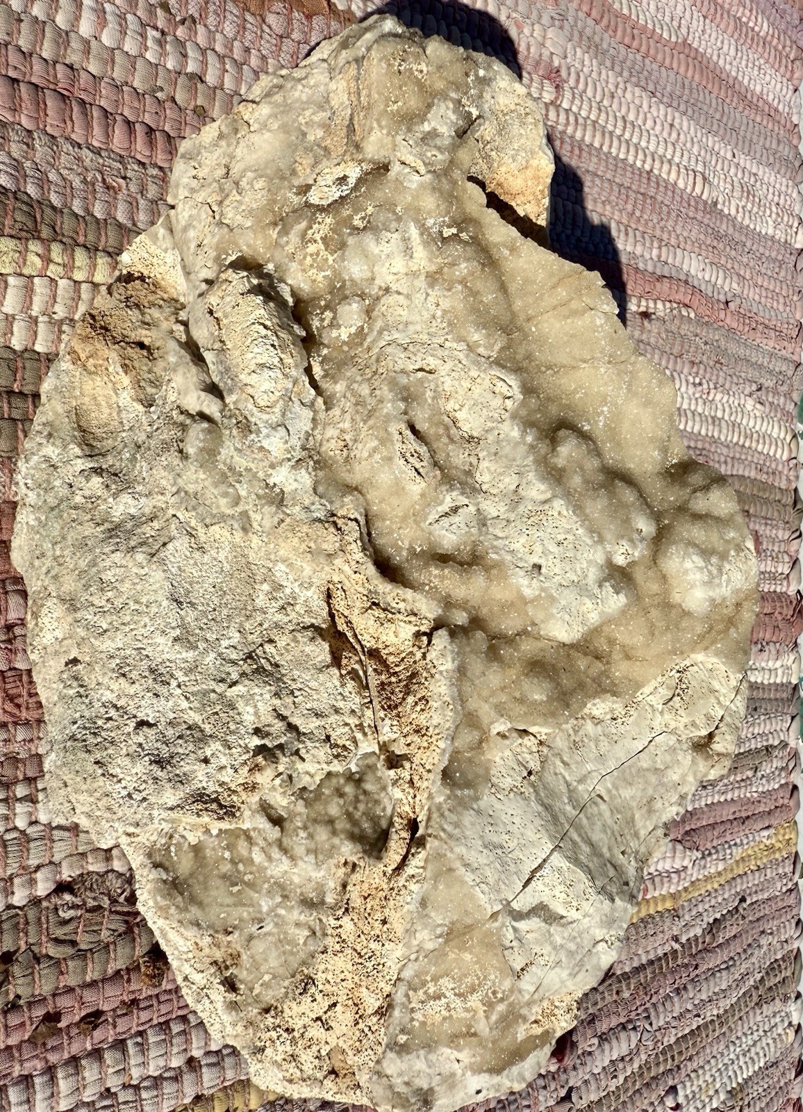AMAZING* 9# Botryoidal Druzy Chalcedony In Fossiliferous Limestone Matrix *NICE AMAZING* 9# Botryoidal Druzy Chalcedony In Fossiliferous Limestone Matrix *NICE