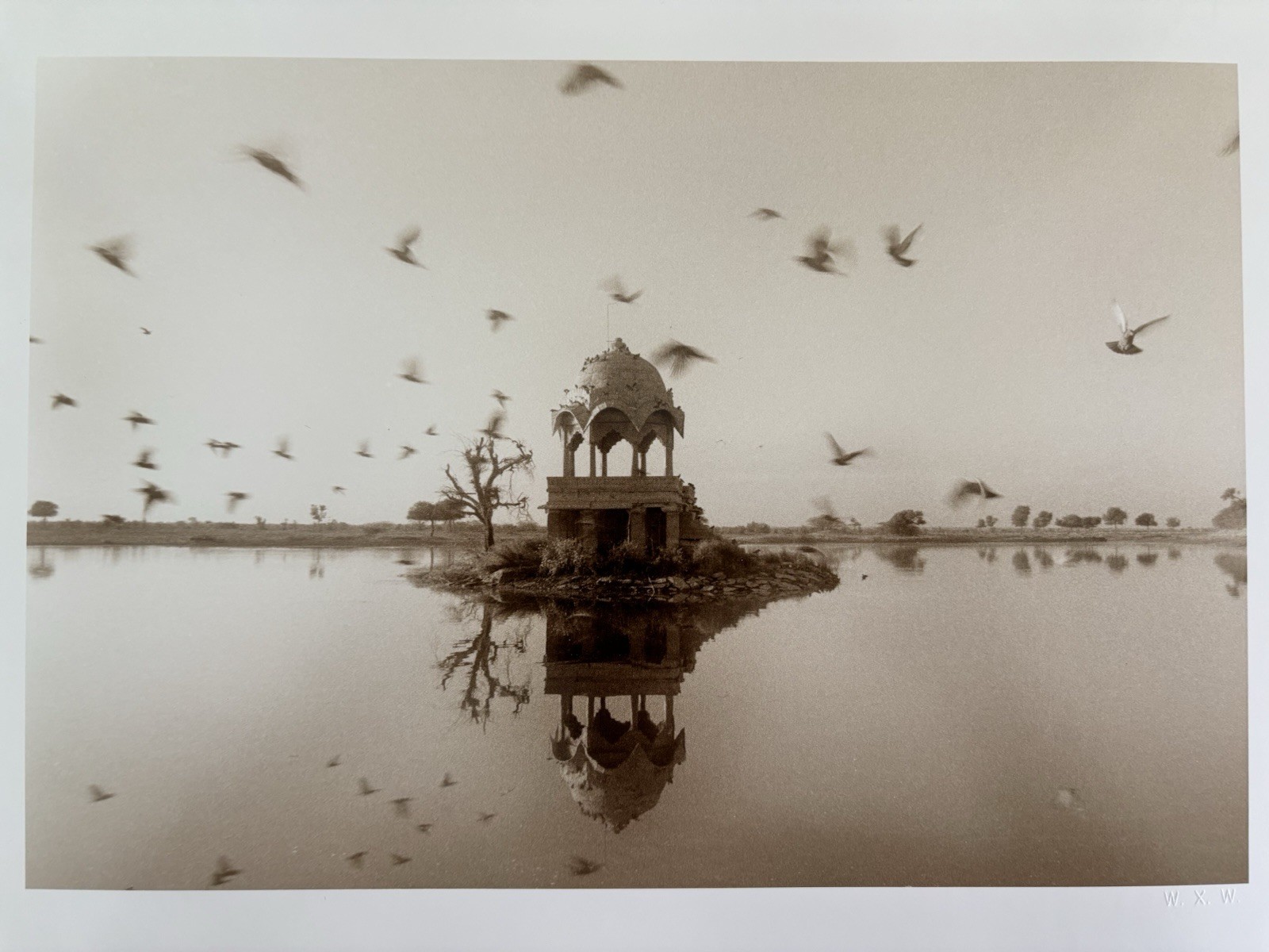 Waswo X. Waswo Signed Sepia Toned Photograph “A Flight of Birds Jaisalmer” India