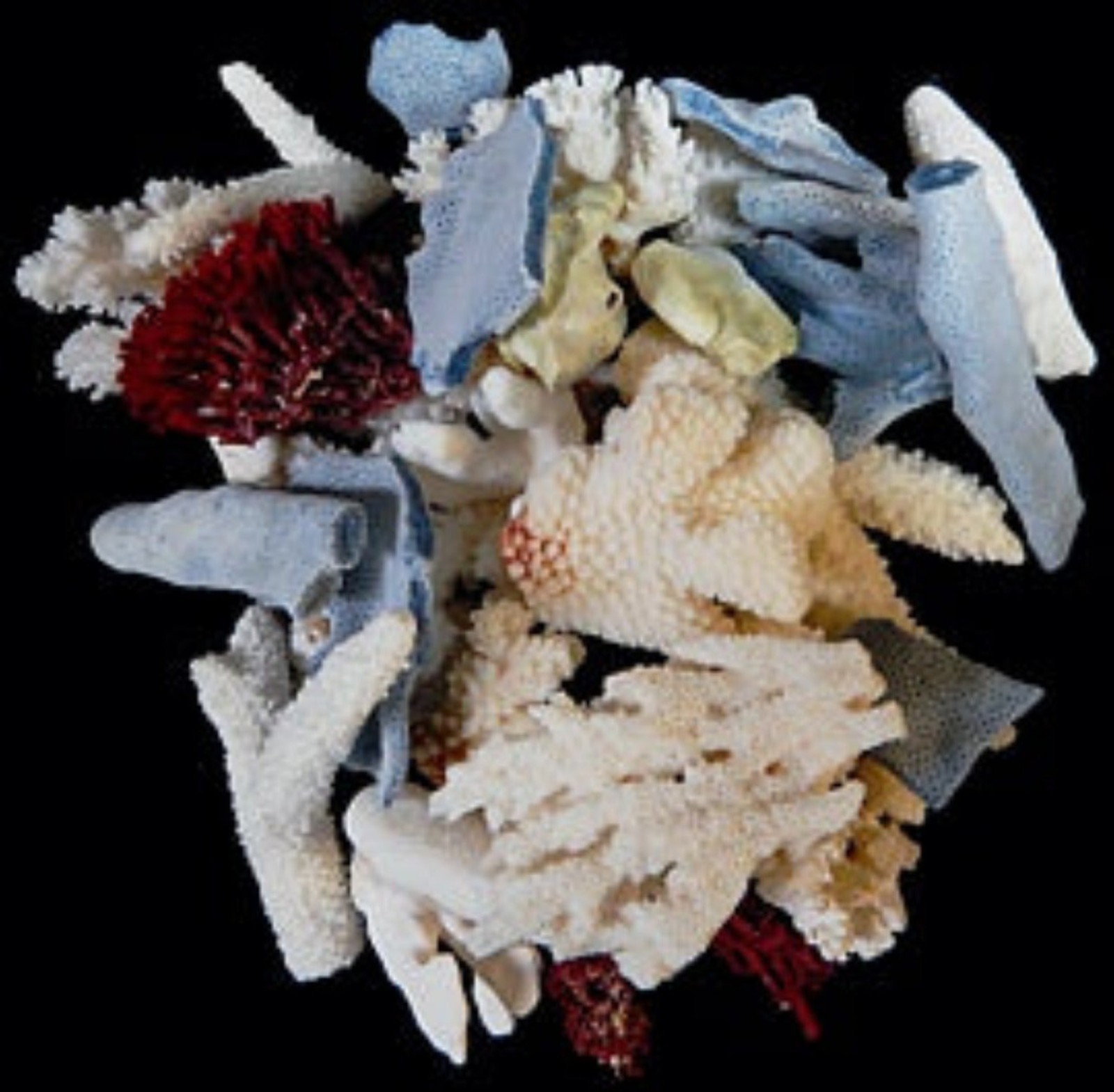 ONE  1/4 pound of  Broken Coral pieces measuring 1/2 to 4