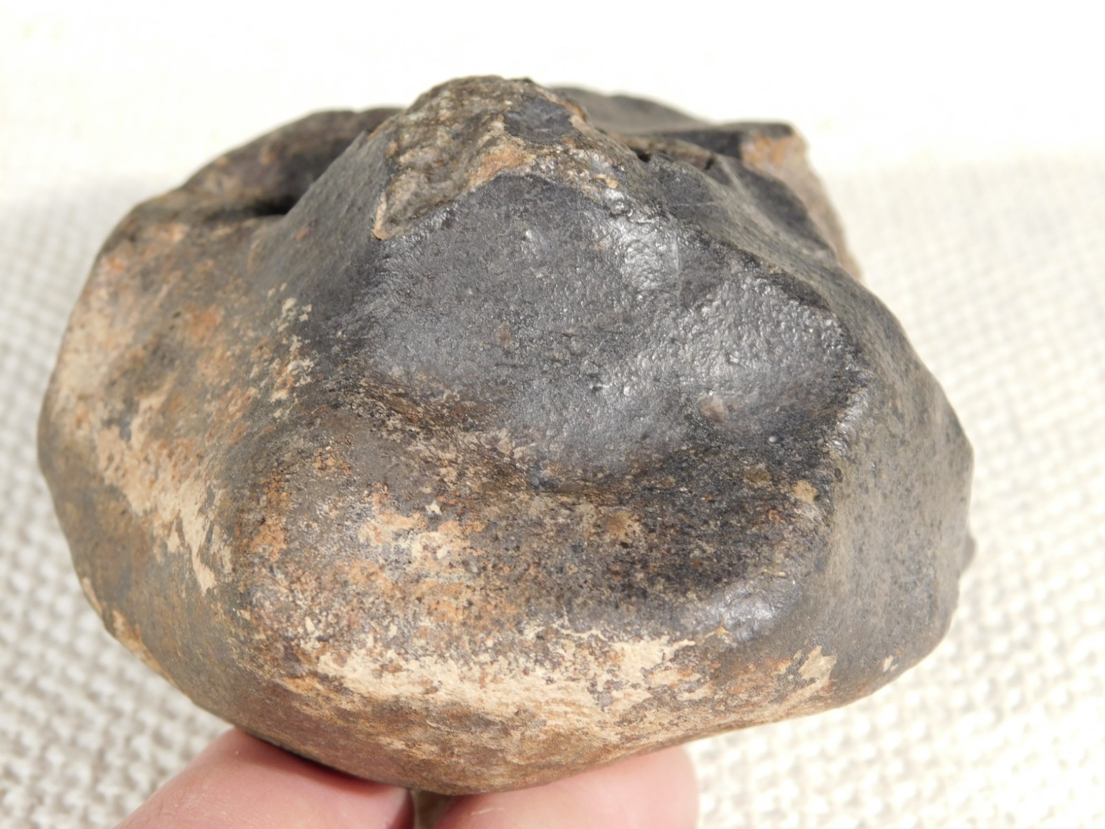 Big N.W.A 869 Stony METEORITE with Dark Fusion Crust and DEEP REGMAGLYPTS 880gr