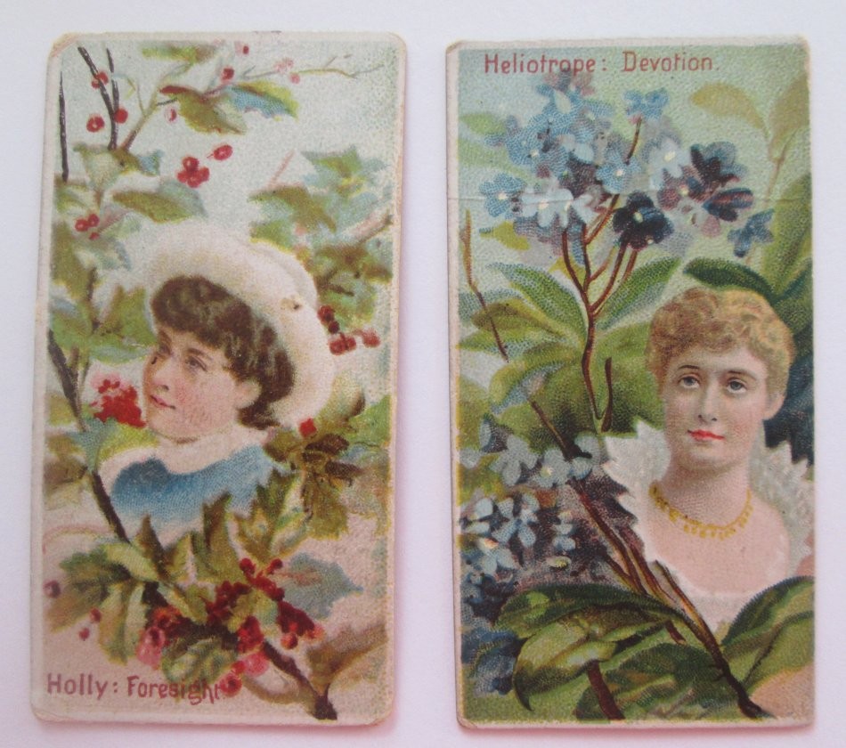 4 ANTIQUE 1880’s DUKE Tobacco Trade Cards 2 Flowers and 2 Governors