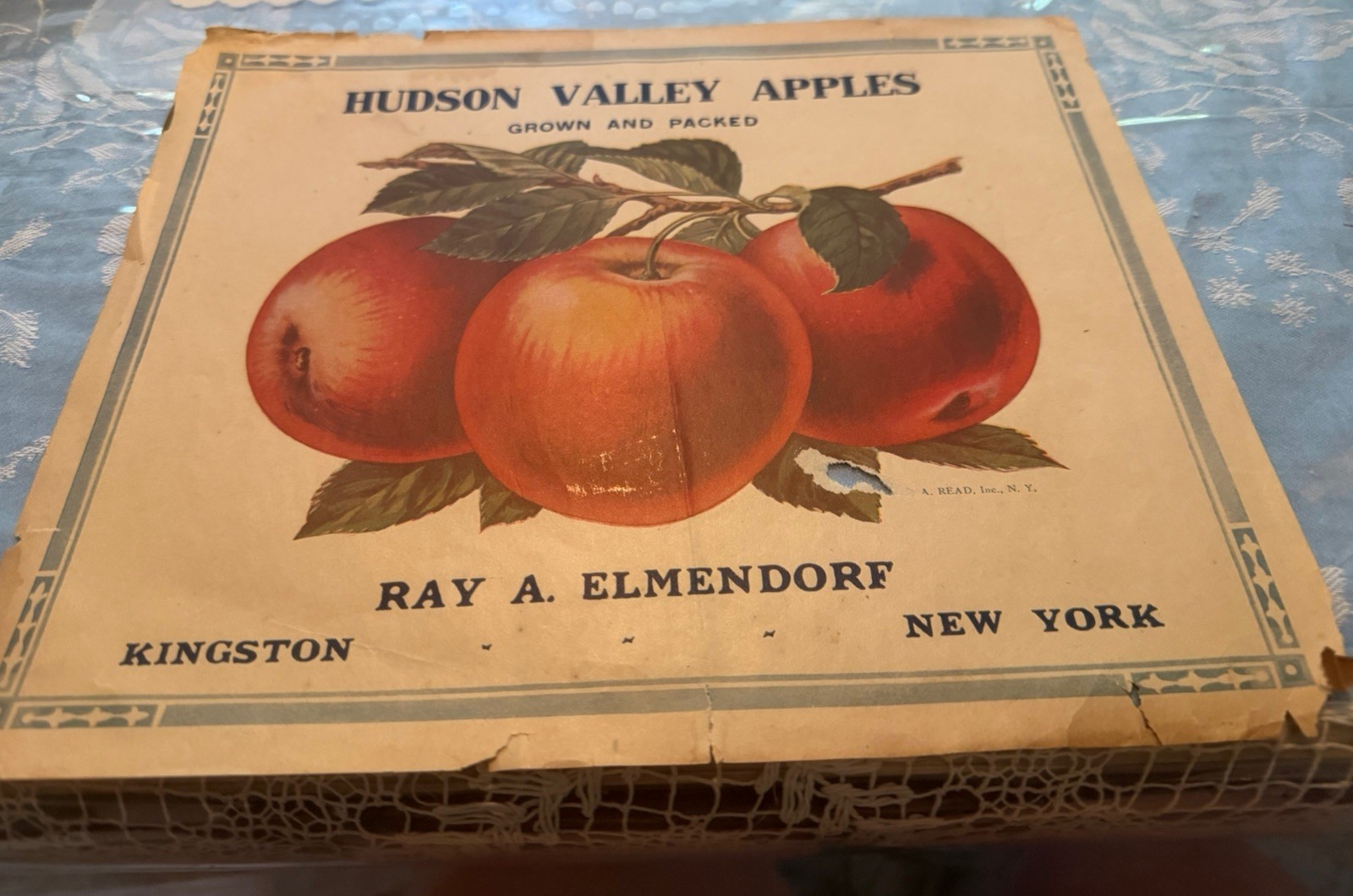 VINTAGE crate poster Kingston NY ray elmendorf  Hudson valley apple fall autumn