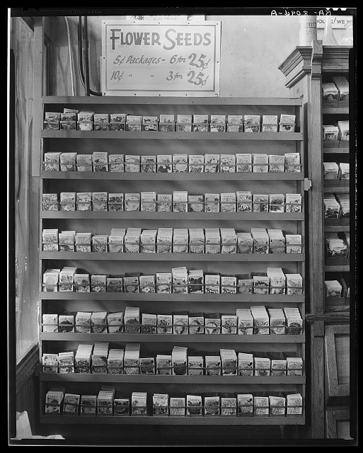 Photo:Vicksburg Mississippi 1936 Seed Store Interior Flower Seeds Display