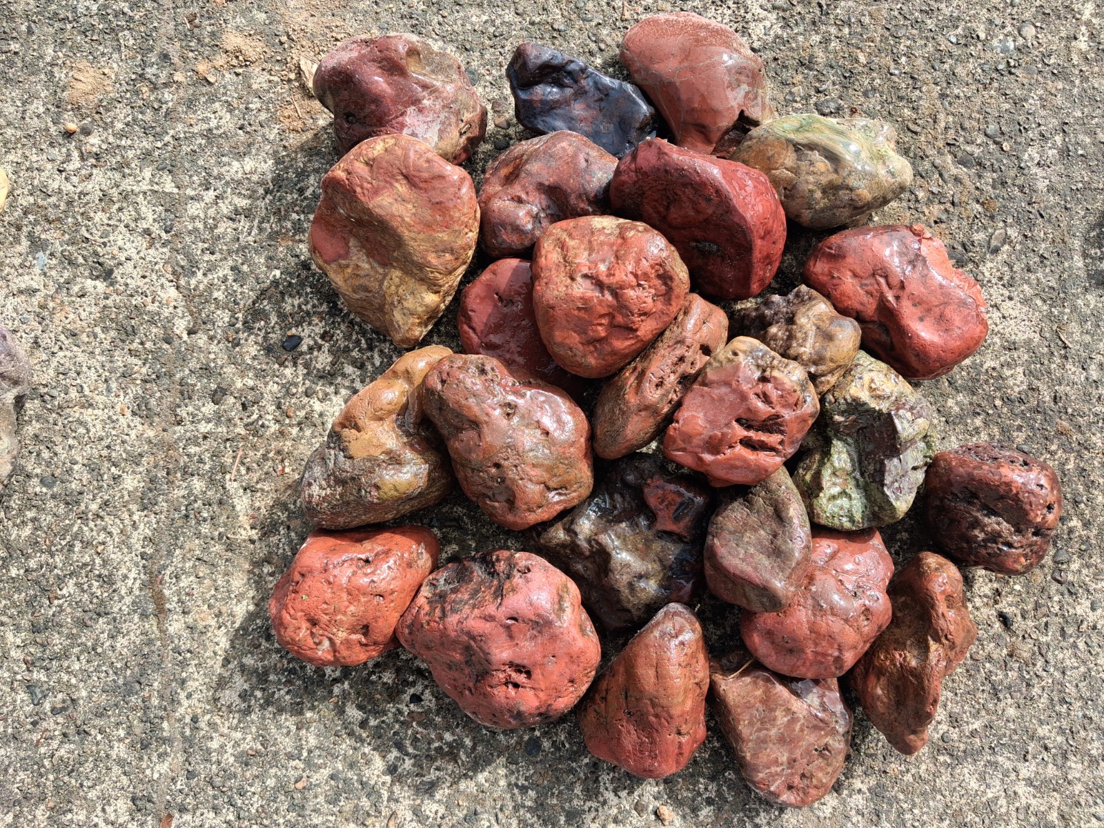 20 Lbs. Great Mid Size Rough Hi Grade Jasper From Willamette River, OR #WJ10