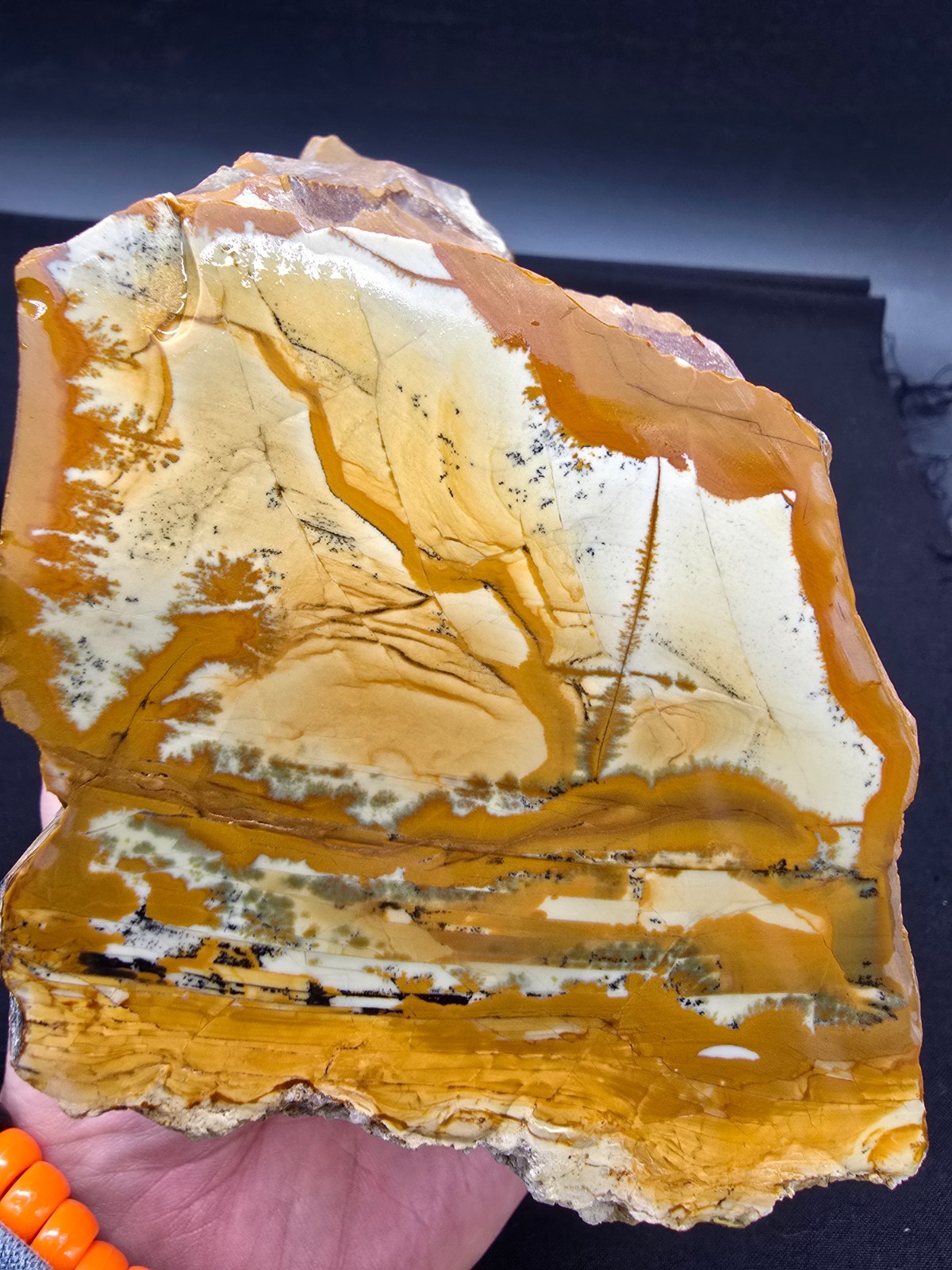 Owyhee Gem Picture Jasper Old Stock Raw/Faced