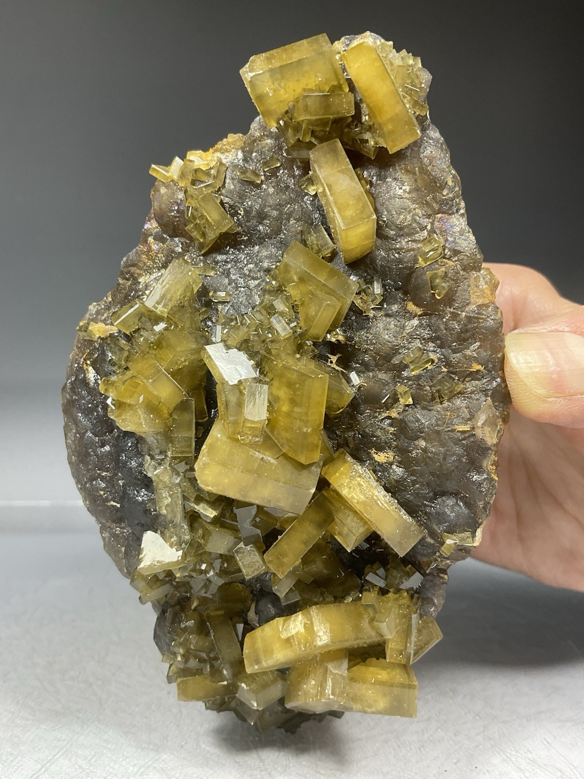 SS Rocks - Golden Barite on Fluorite (Xie Fang, Tiangxi, China) 1.42lbs SS Rocks - Golden Barite on Fluorite (Xie Fang, Tiangxi, China) 1.42lbs