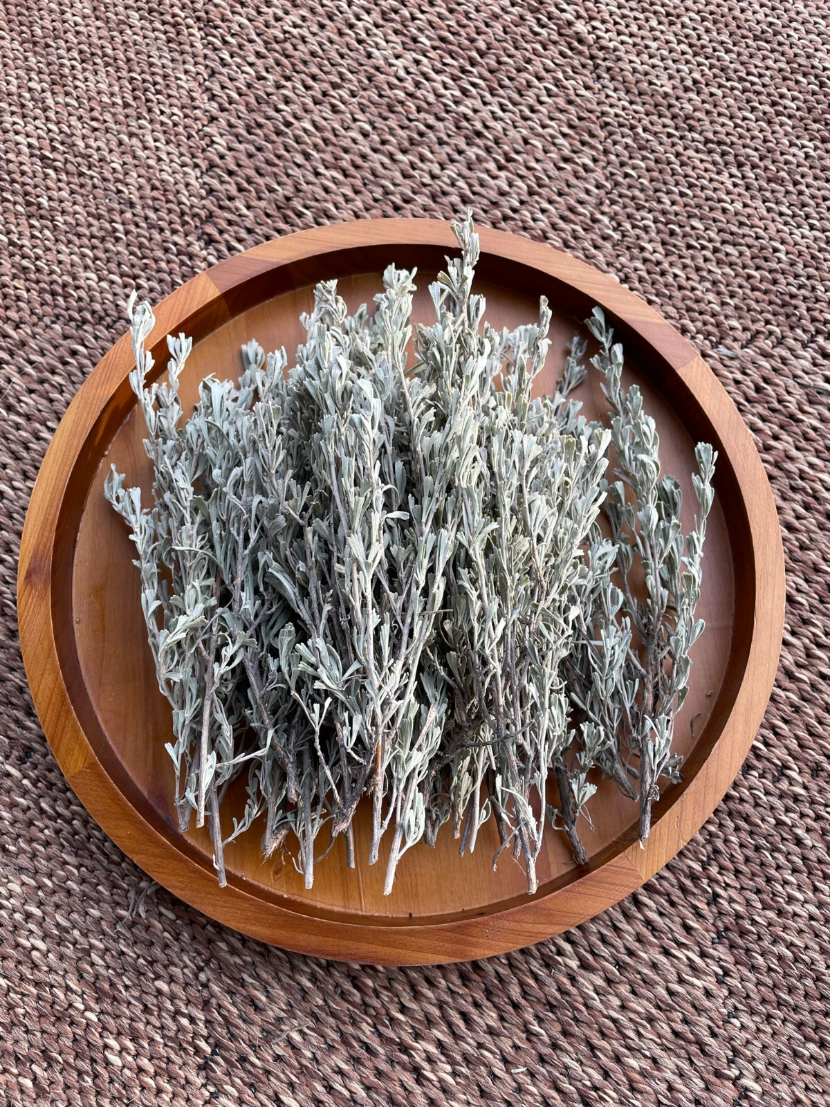 2oz Fresh Cut Sage Artemisia Tridentata Big Sagebrush Wild Native SMUDGING