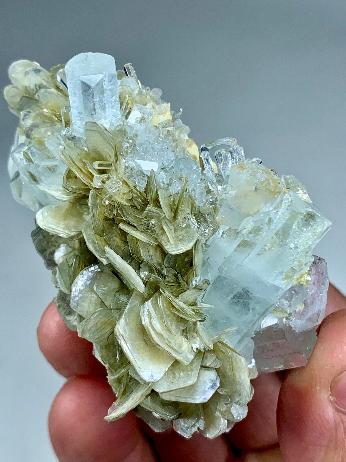 81 GM Terminated Aquamarine Crystals Cluster Combine With Muscovite Mica