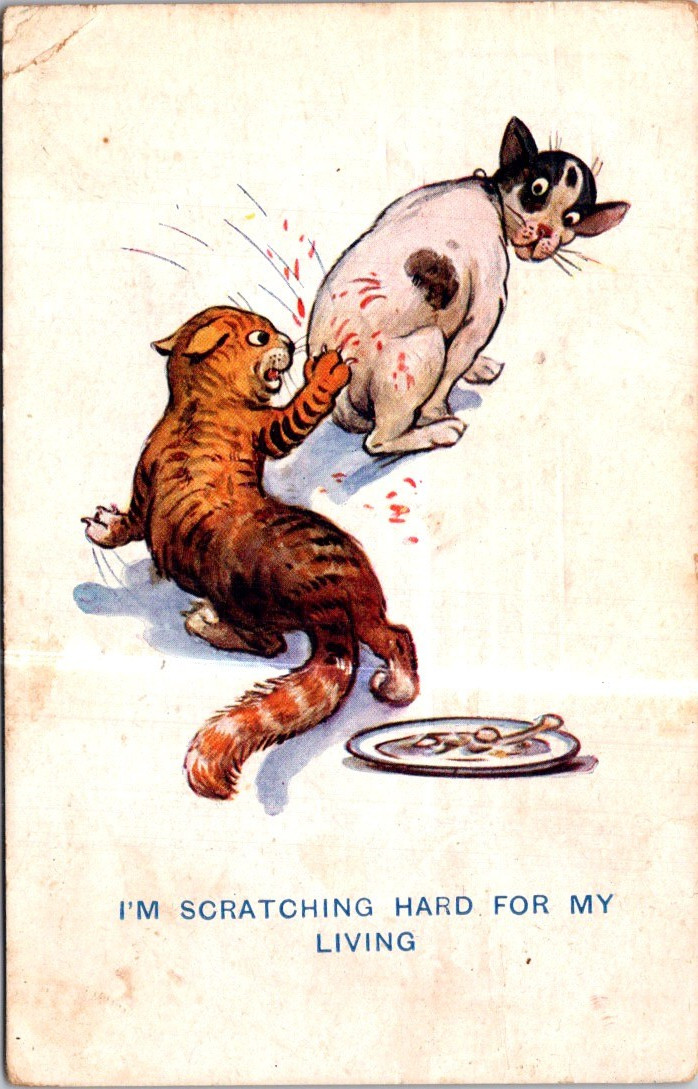 (2730) 30-5-2026 - Humour (very old) CATS  / Chats