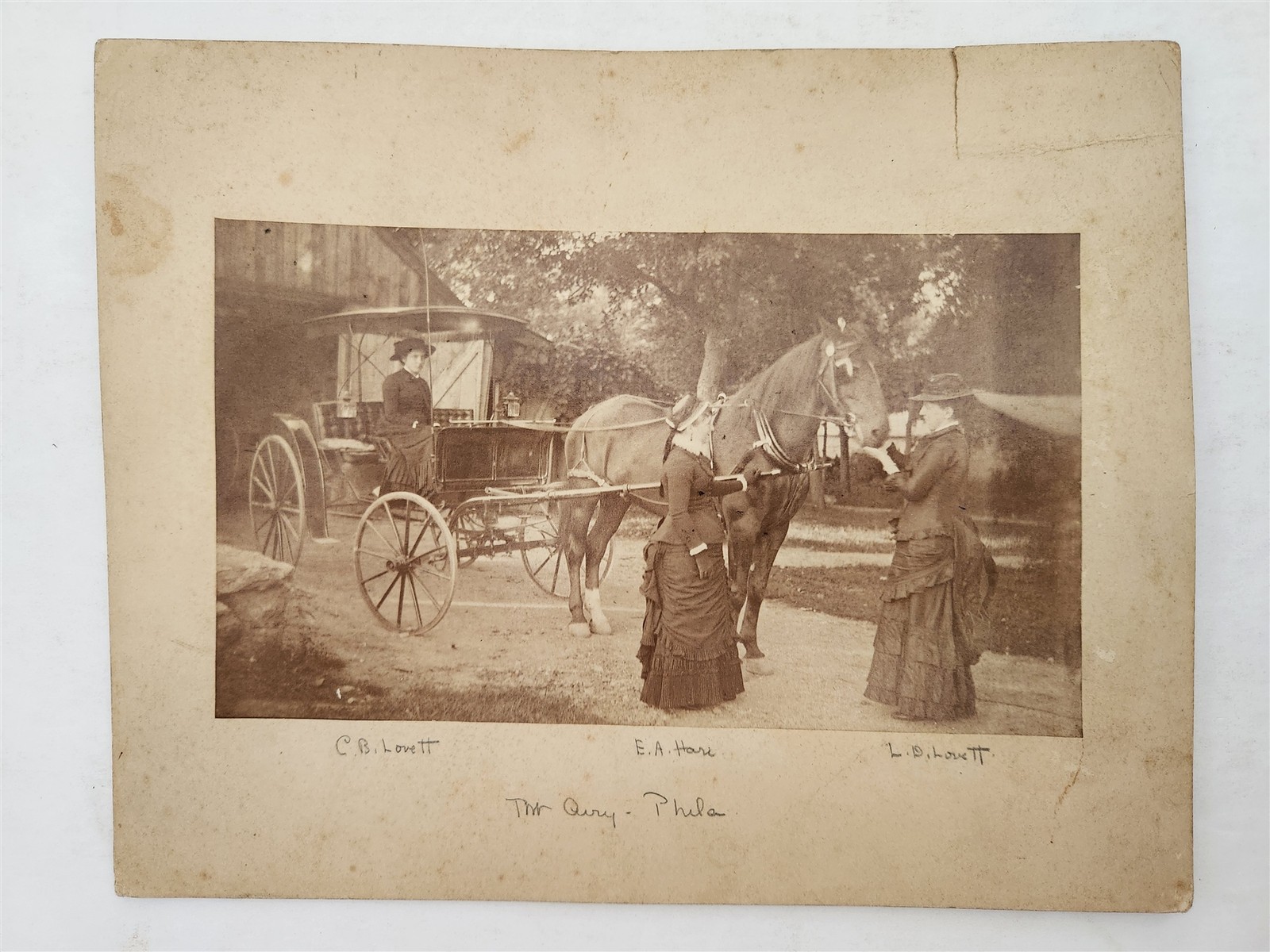 1890s antique PHOTO philadelphia pa HORSE CARRIAGE WOMEN id'd LOVETT & HARI