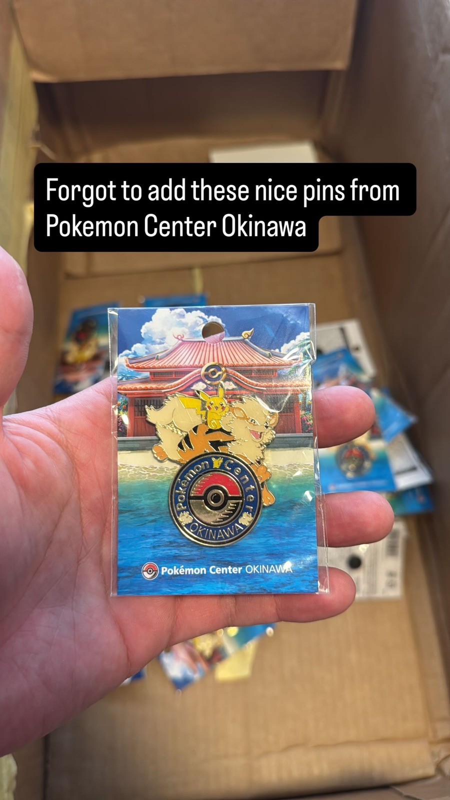 Pokemon Center Okinawa Limited Logo Pin Pikachu Arcanine Japan New