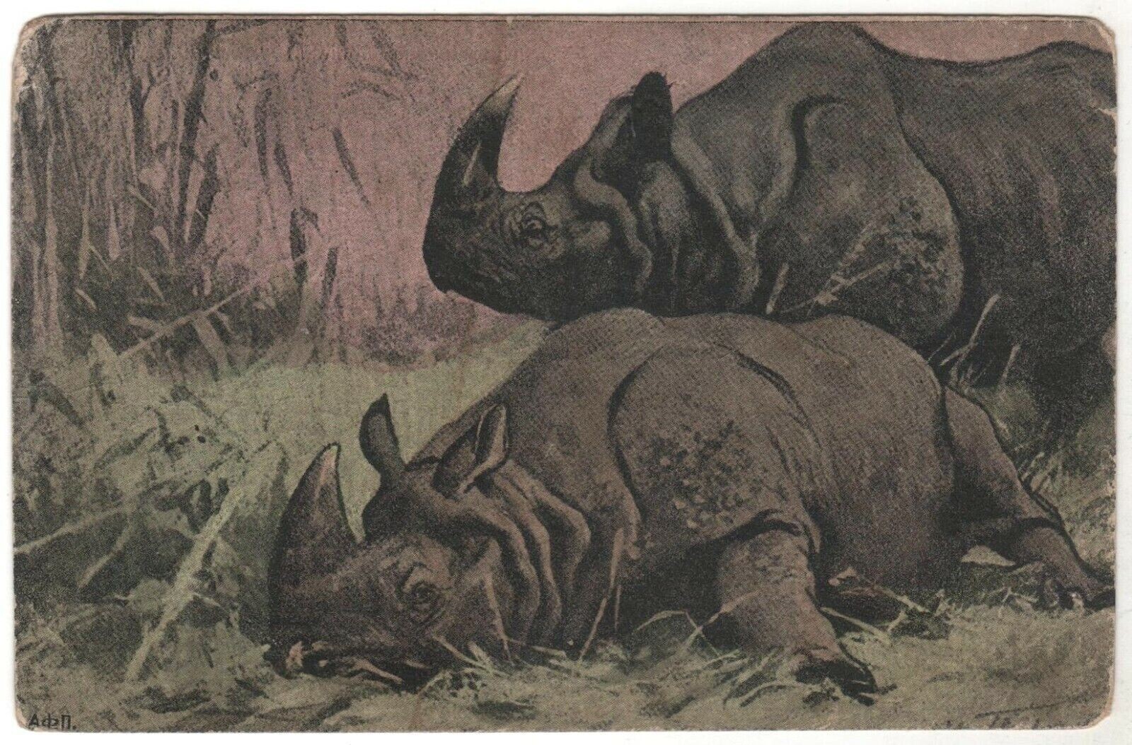 1917s Antique Postcard INDIA Rhino rhinoceros Wild Animals Old Russian card