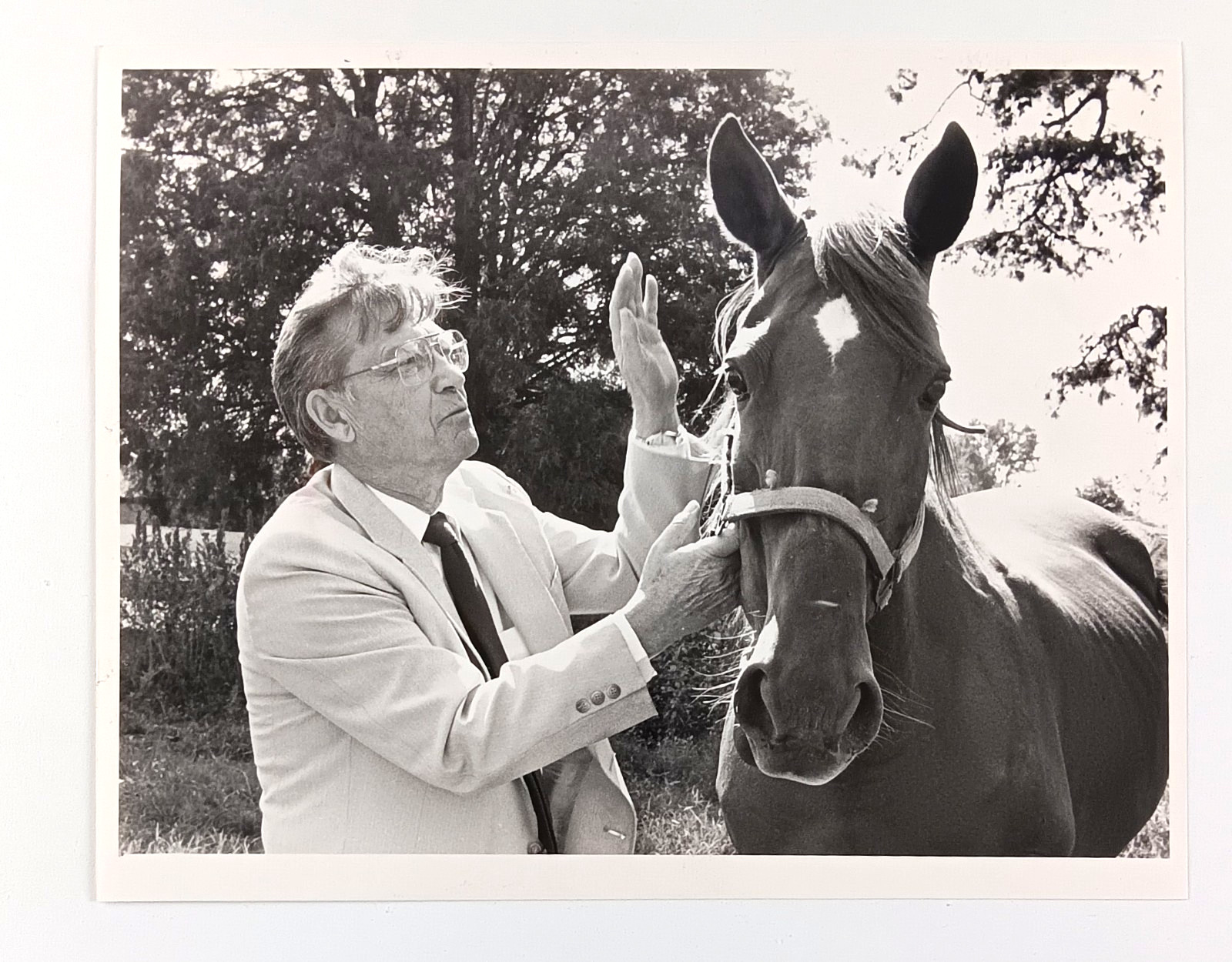 1987 Oxford North Carolina Legislature Billy Watkins Walking Horse Press Photo