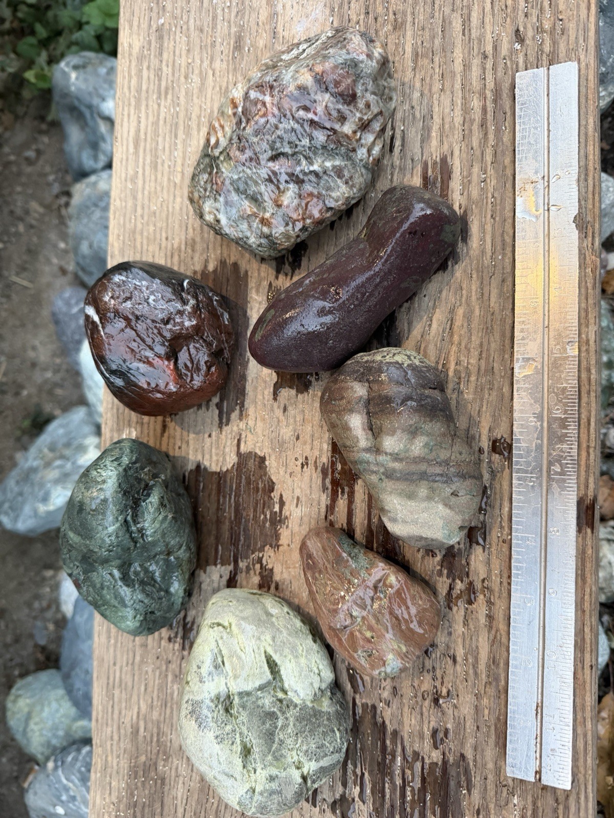 7 Pc Mixed Lapidary Rough Rock Lot Red Green Jasper-Like Trinity River