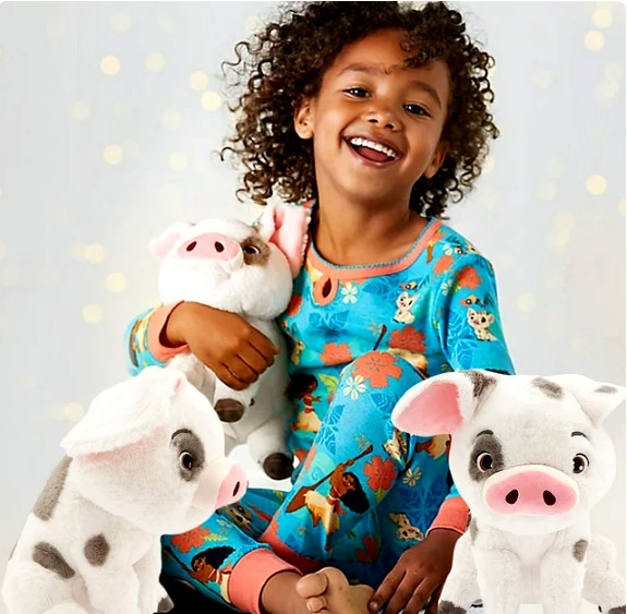 DISNEY STORE MOANA PUA  10