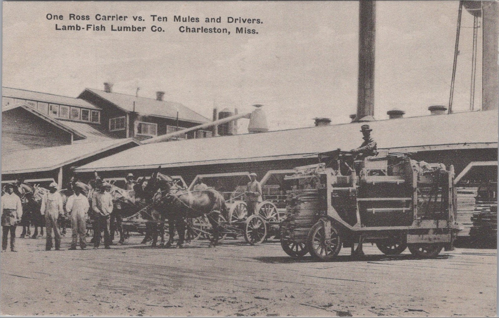 Ross Carrier Mules Lamb Fish Lumber Co Charleston Mississippi MS 1910s Postcard