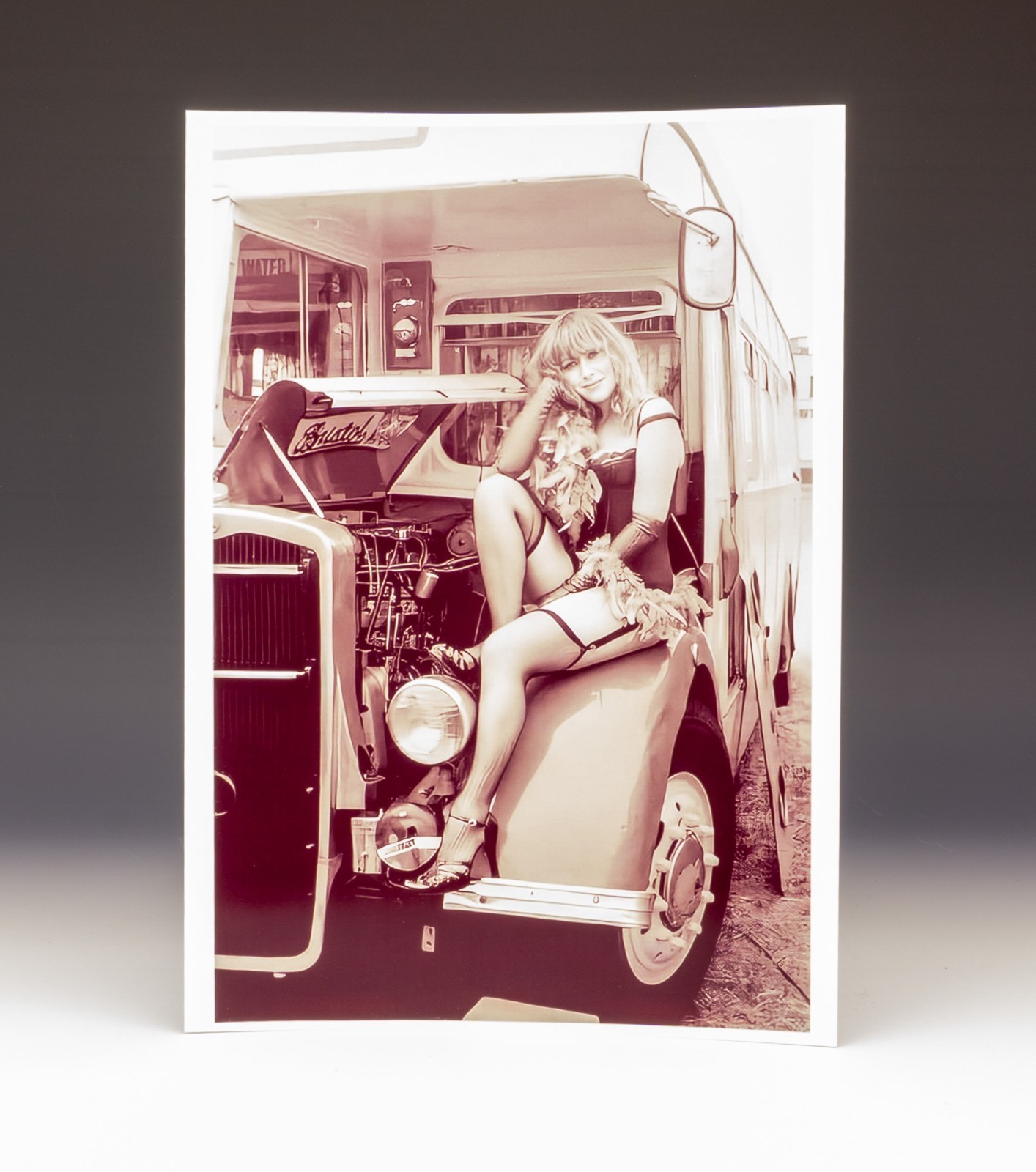 Original Helen Mirren - British Actress - Large Publicity Photograph