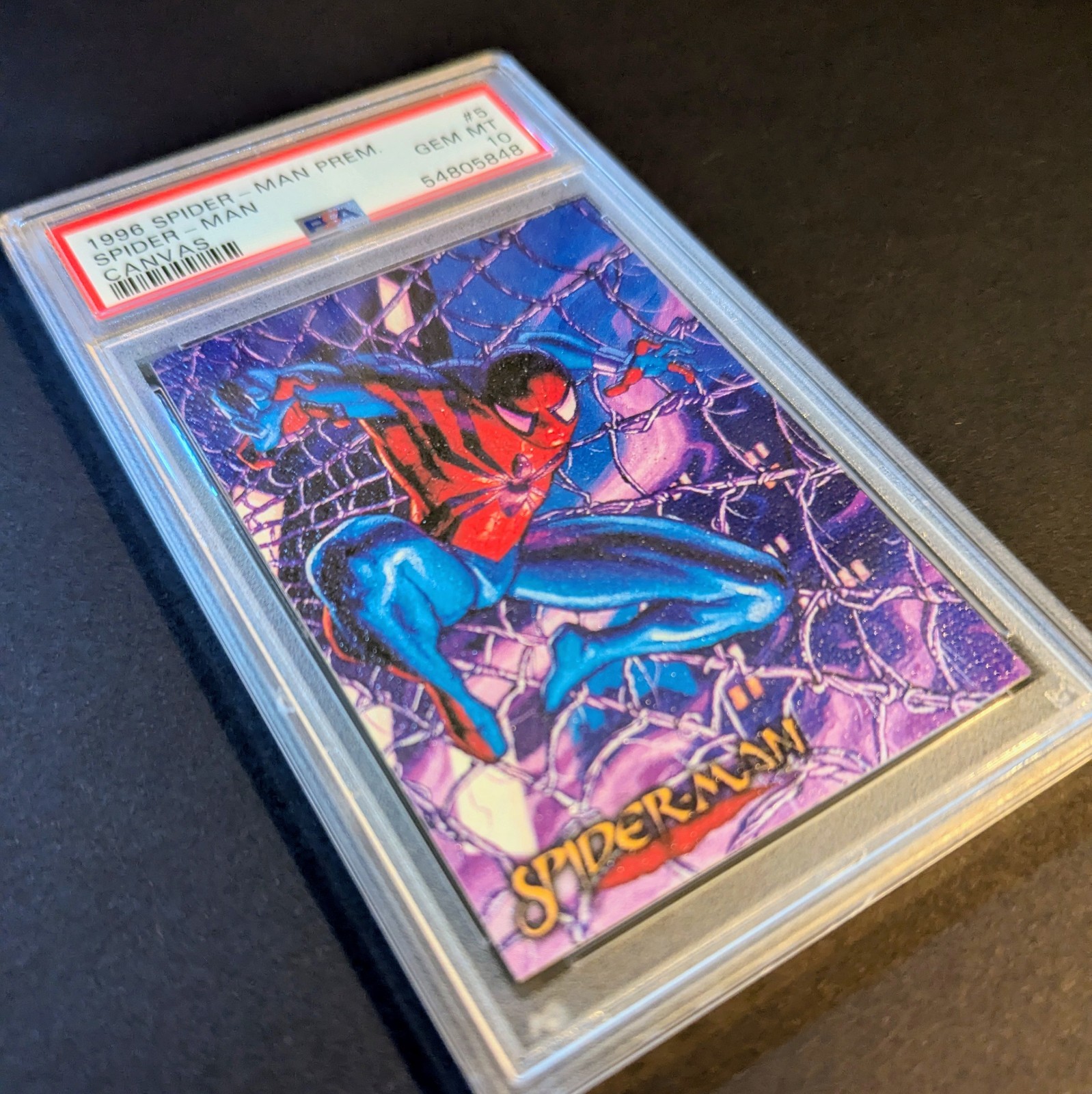1996 Spider-Man Premium Canvas #5 PSA 10 Gem Mint Hildebrandt Brothers