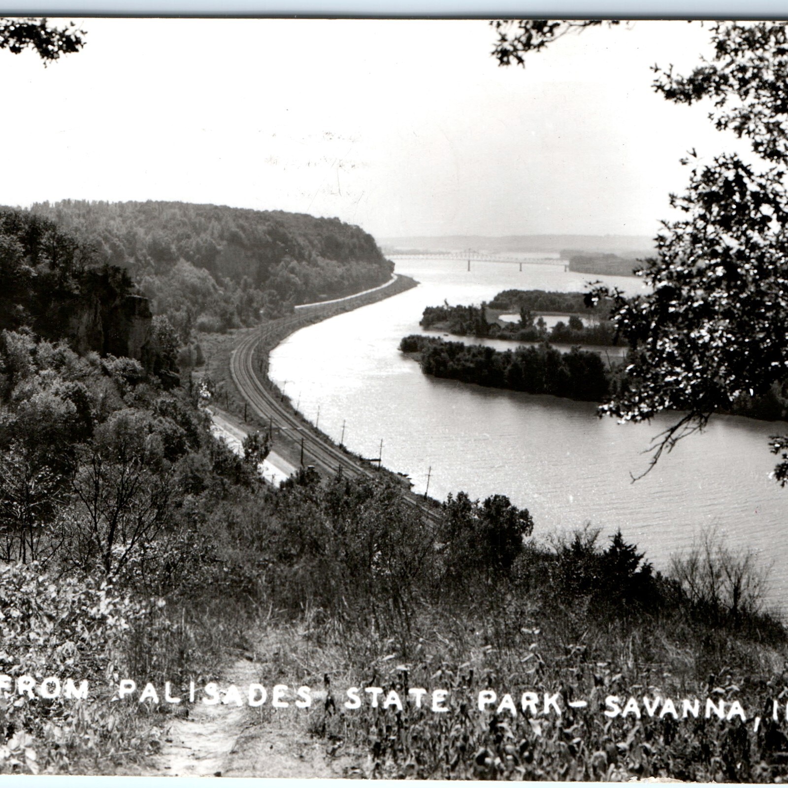 c1950s Savanna, IL Mississippi Palisades State Park River View RPPC Postcard c1950s Savanna, IL Mississippi Palisades State Park River View RPPC Postcard