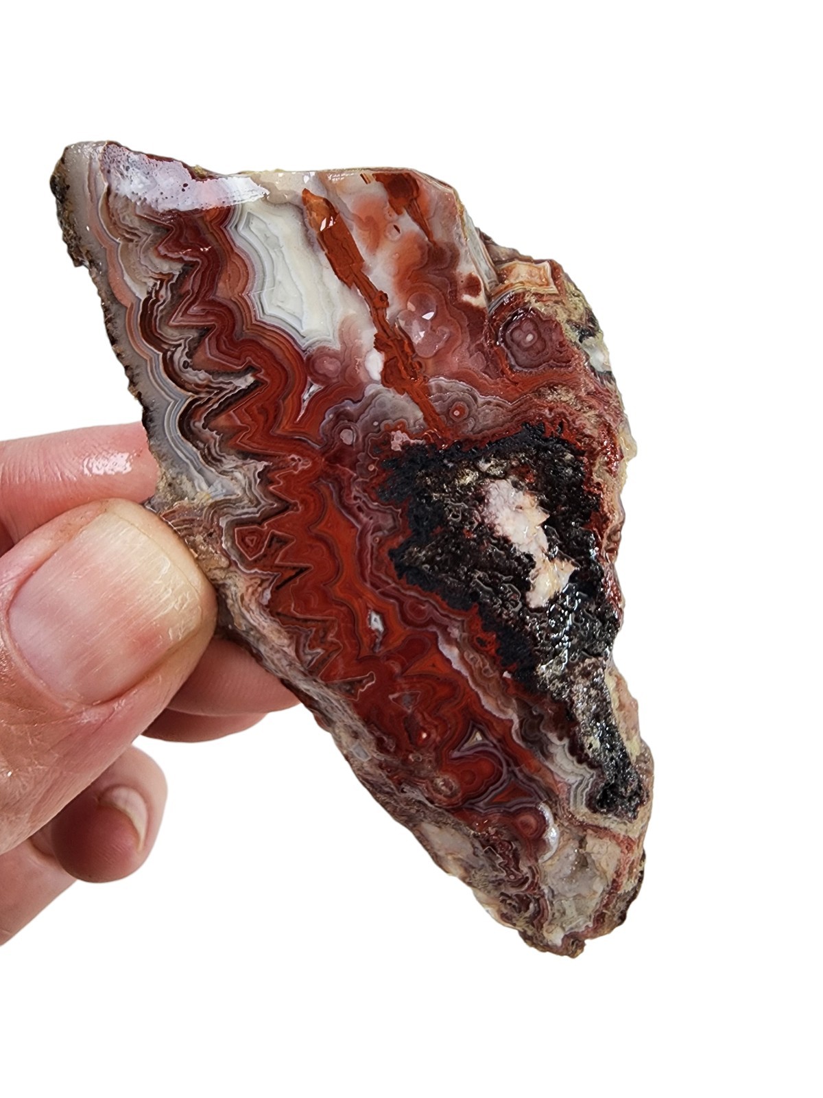 Laguna Lace Agate Slab Mexico 30.1 grams