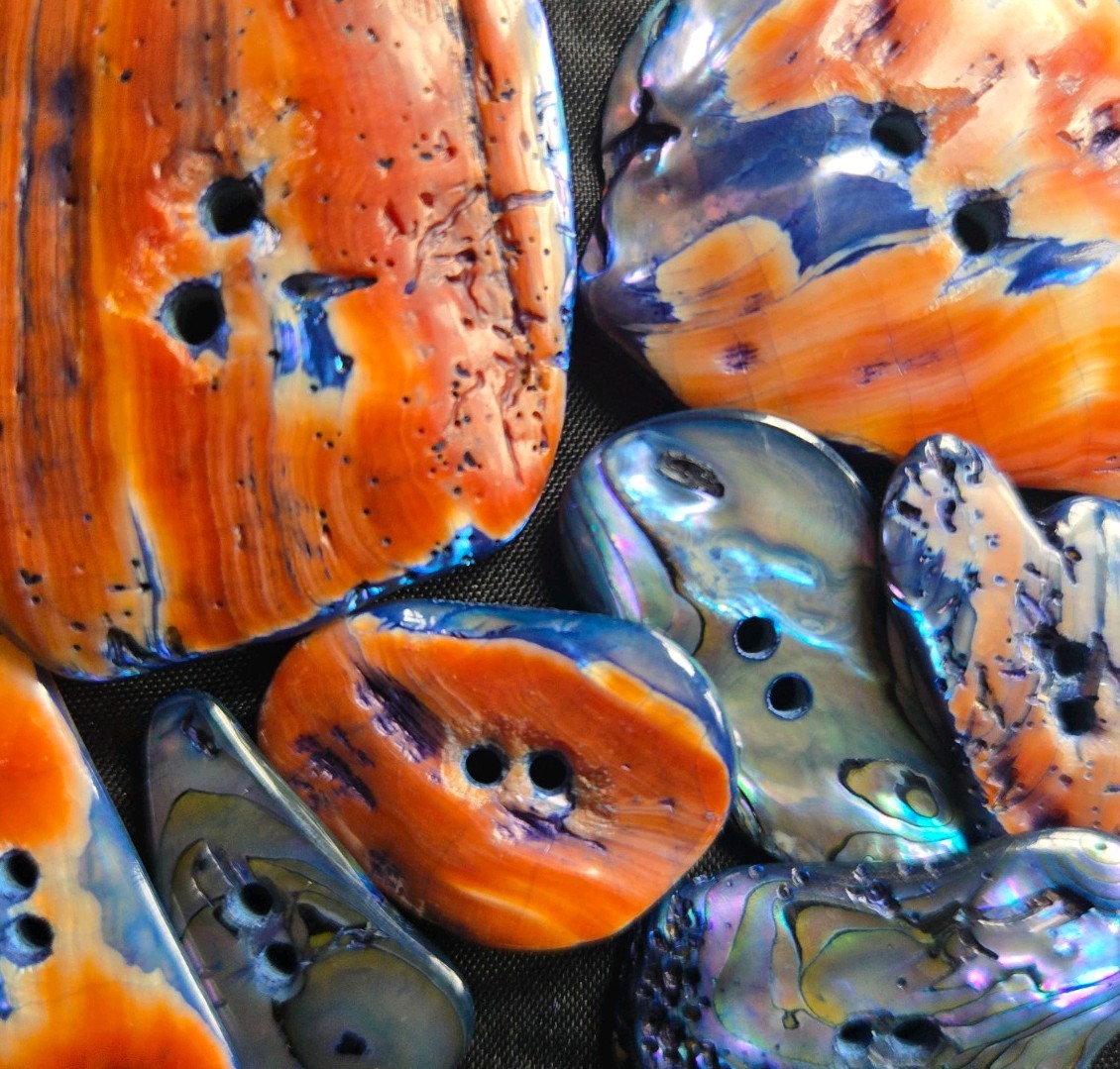 Red Blue Abalone Shell Buttons 8 Large Freeform Iridescent Paua Mother of Pearl Red Blue Abalone Shell Buttons 8 Large Freeform Iridescent Paua Mother of Pearl
